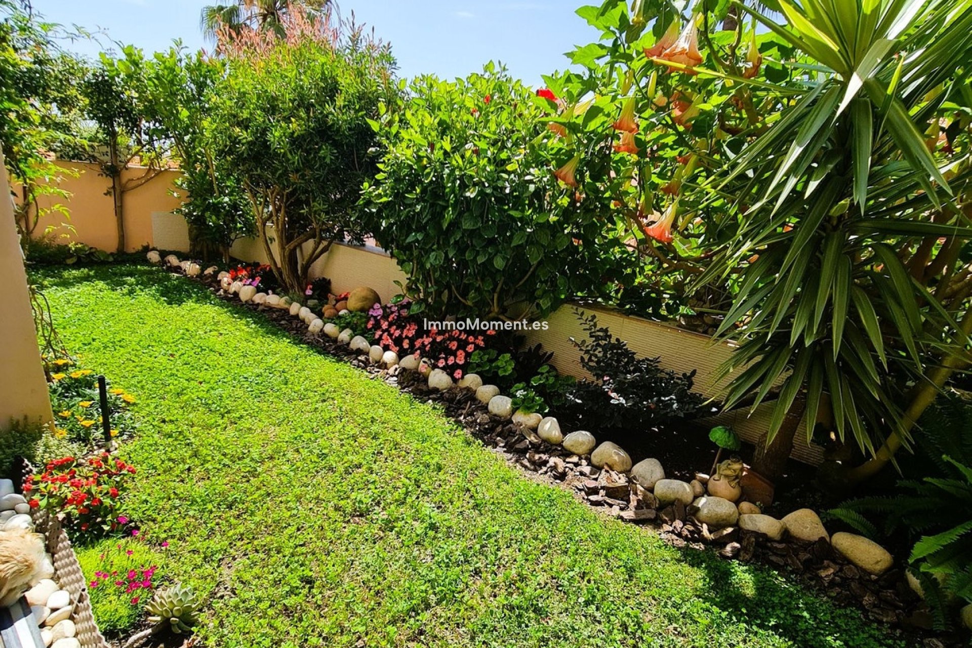Revente - Appartement - Mijas - Calahonda