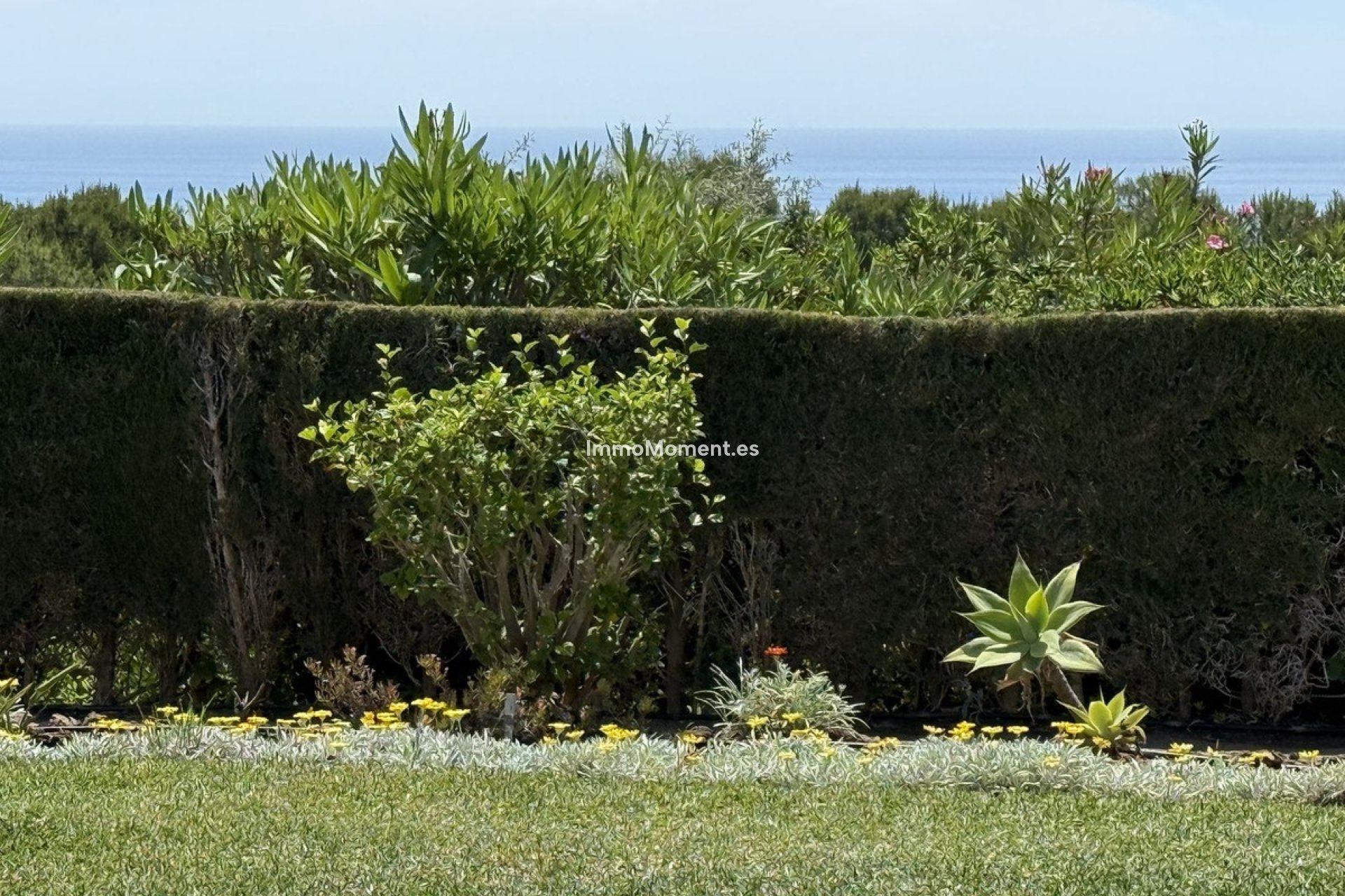 Revente - Appartement - Mijas Costa - Riviera Del Sol