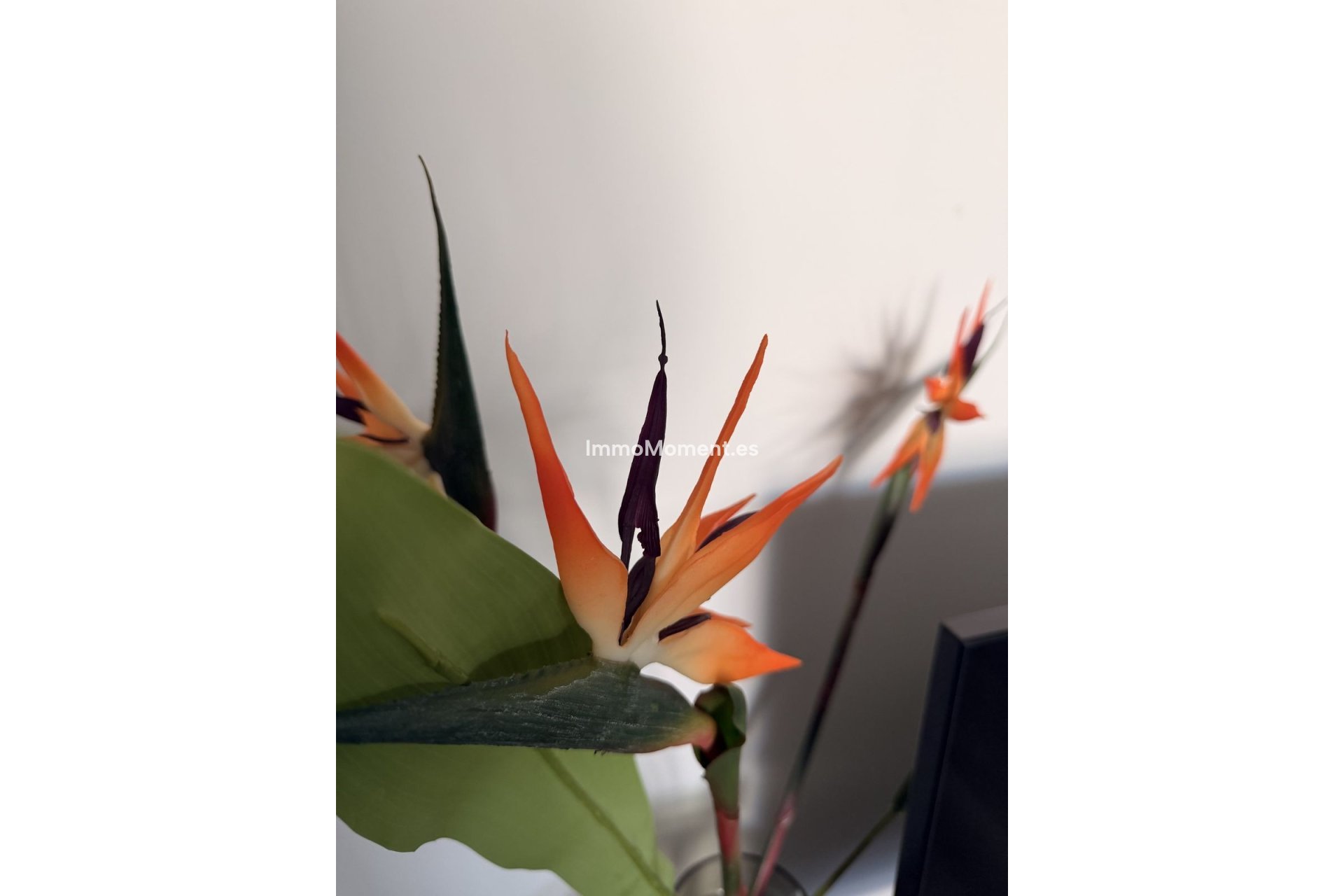 Revente - Appartement - Mijas - Mijas Centro