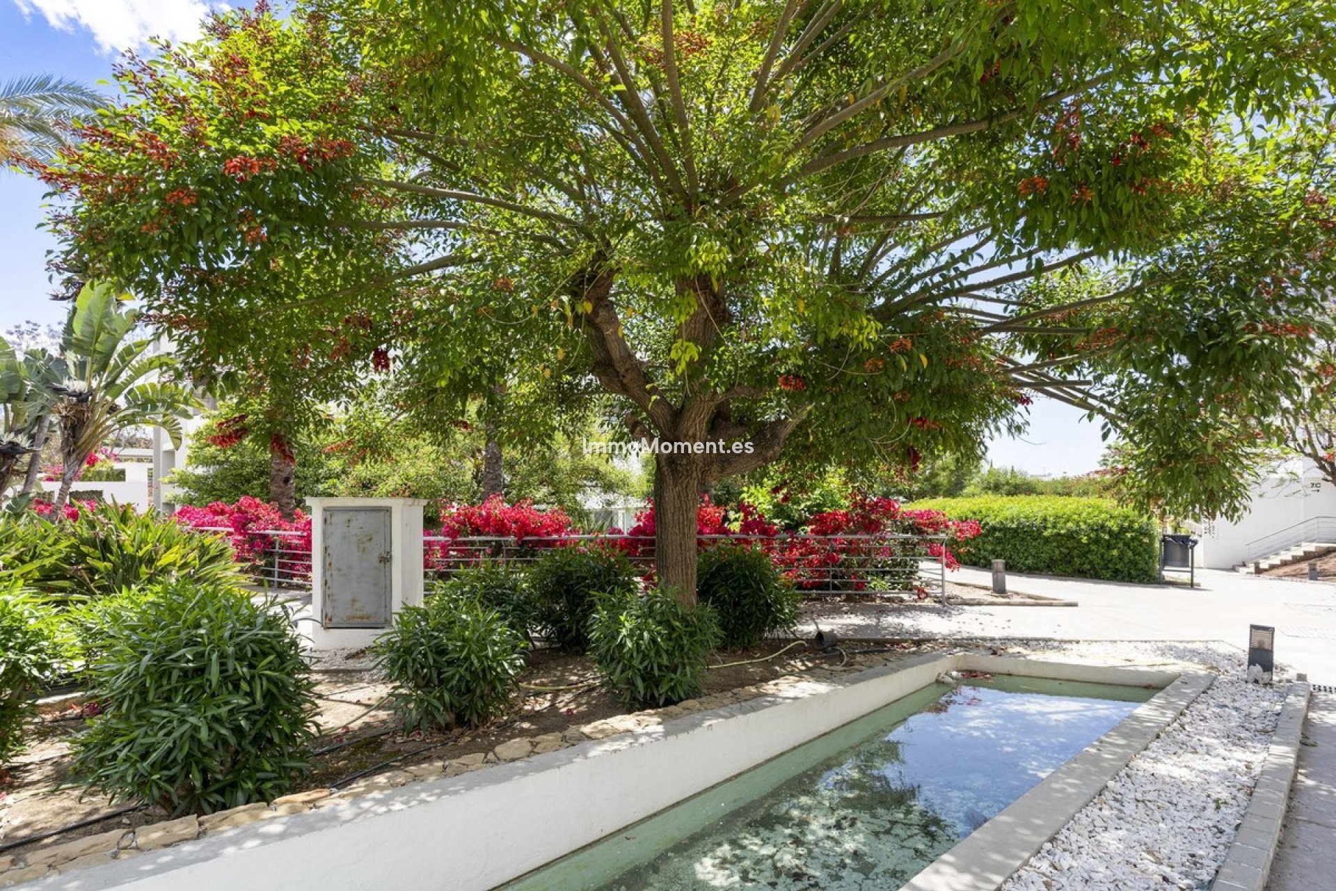 Revente - Appartement - Mijas - Mijas Costa