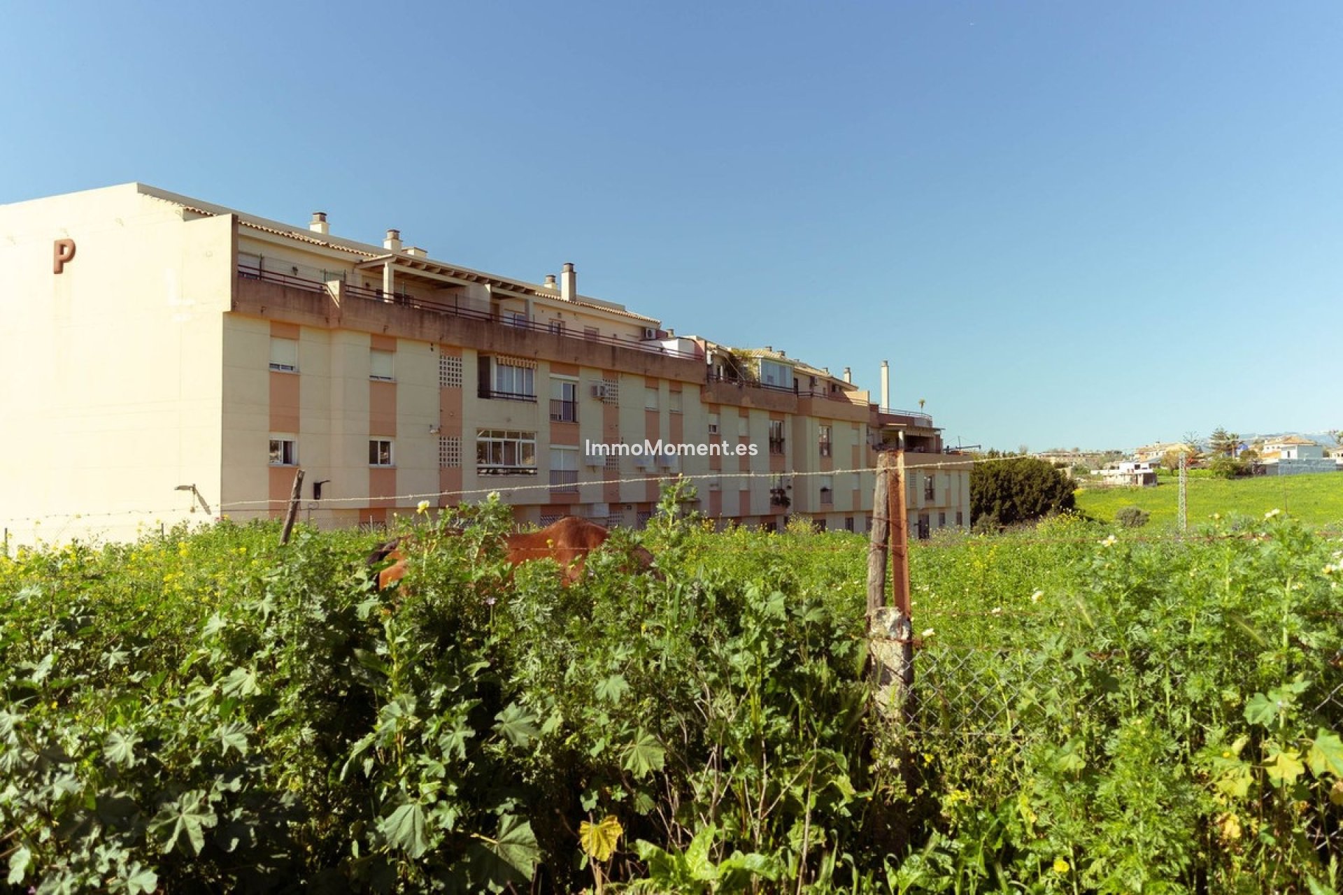 Revente - Appartement - Mijas - Mijas Costa