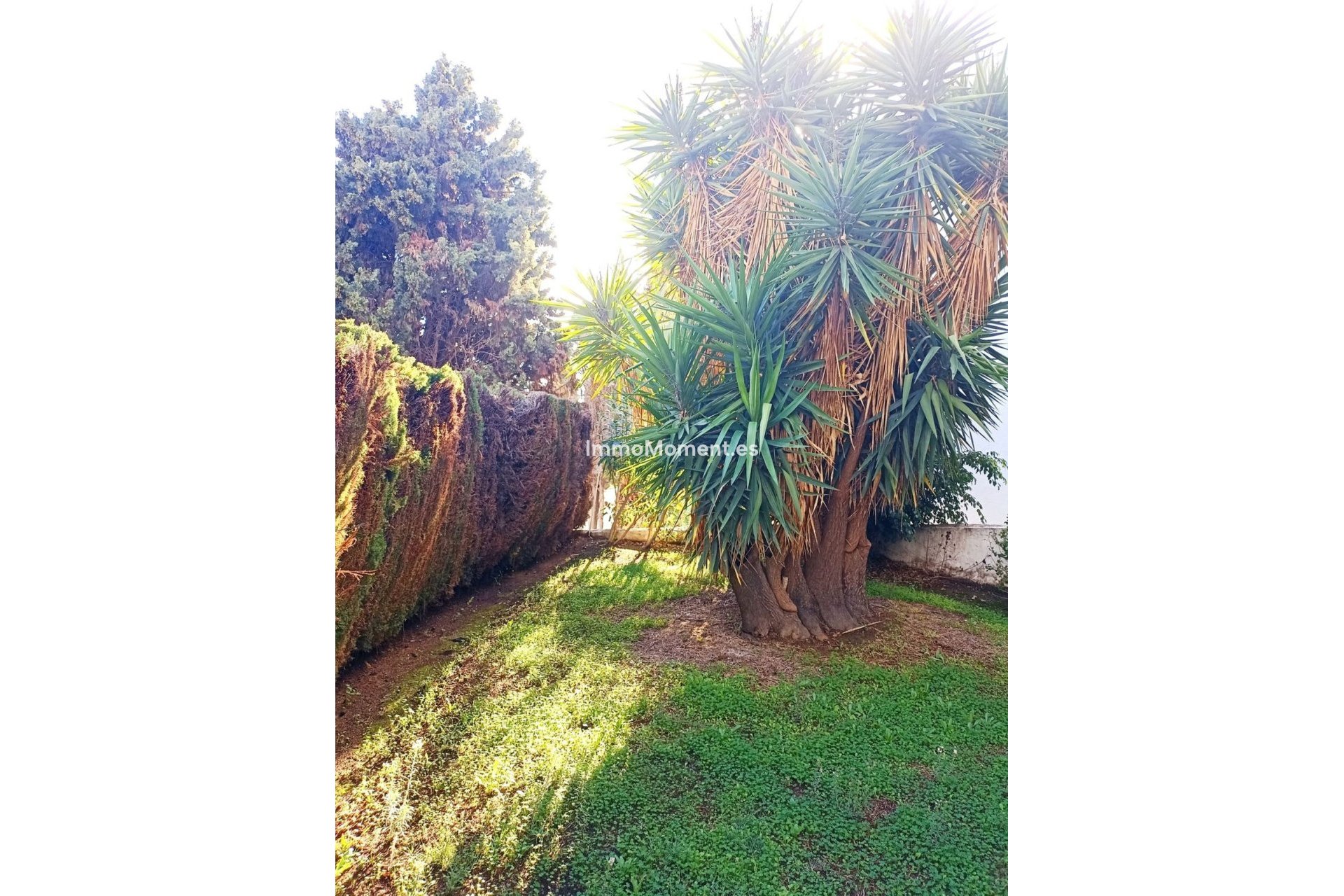 Revente - Appartement - Mijas - Mijas Golf