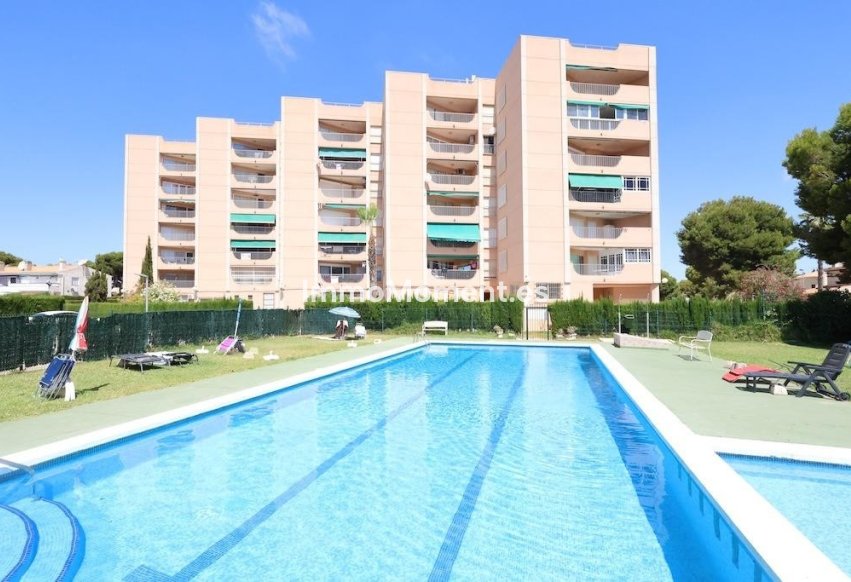 Revente - Appartement - Orihuela Costa - Cabo roig - La Zenia