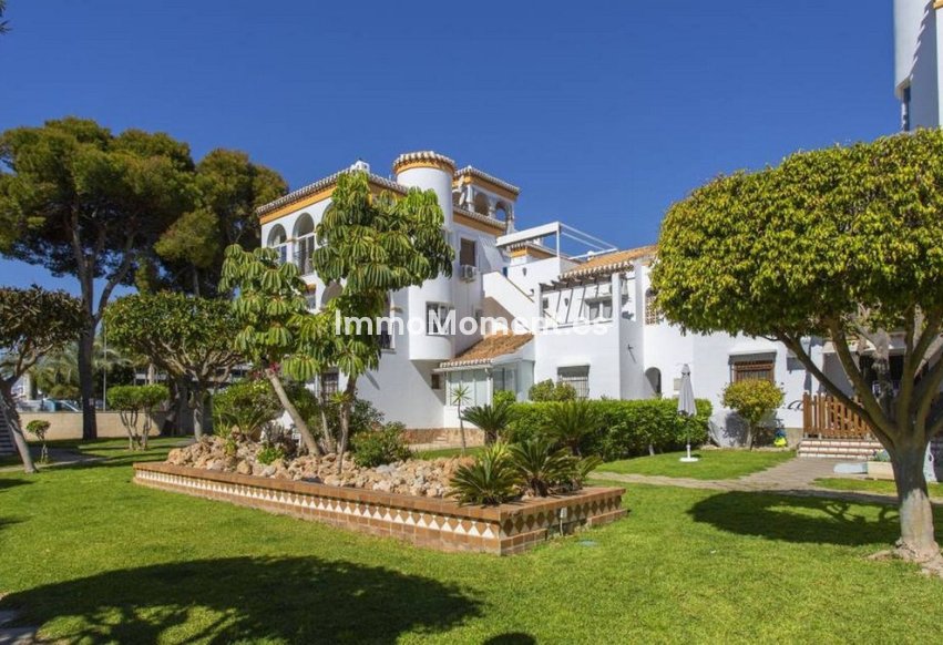 Revente - Appartement - Orihuela Costa - Playa Flamenca
