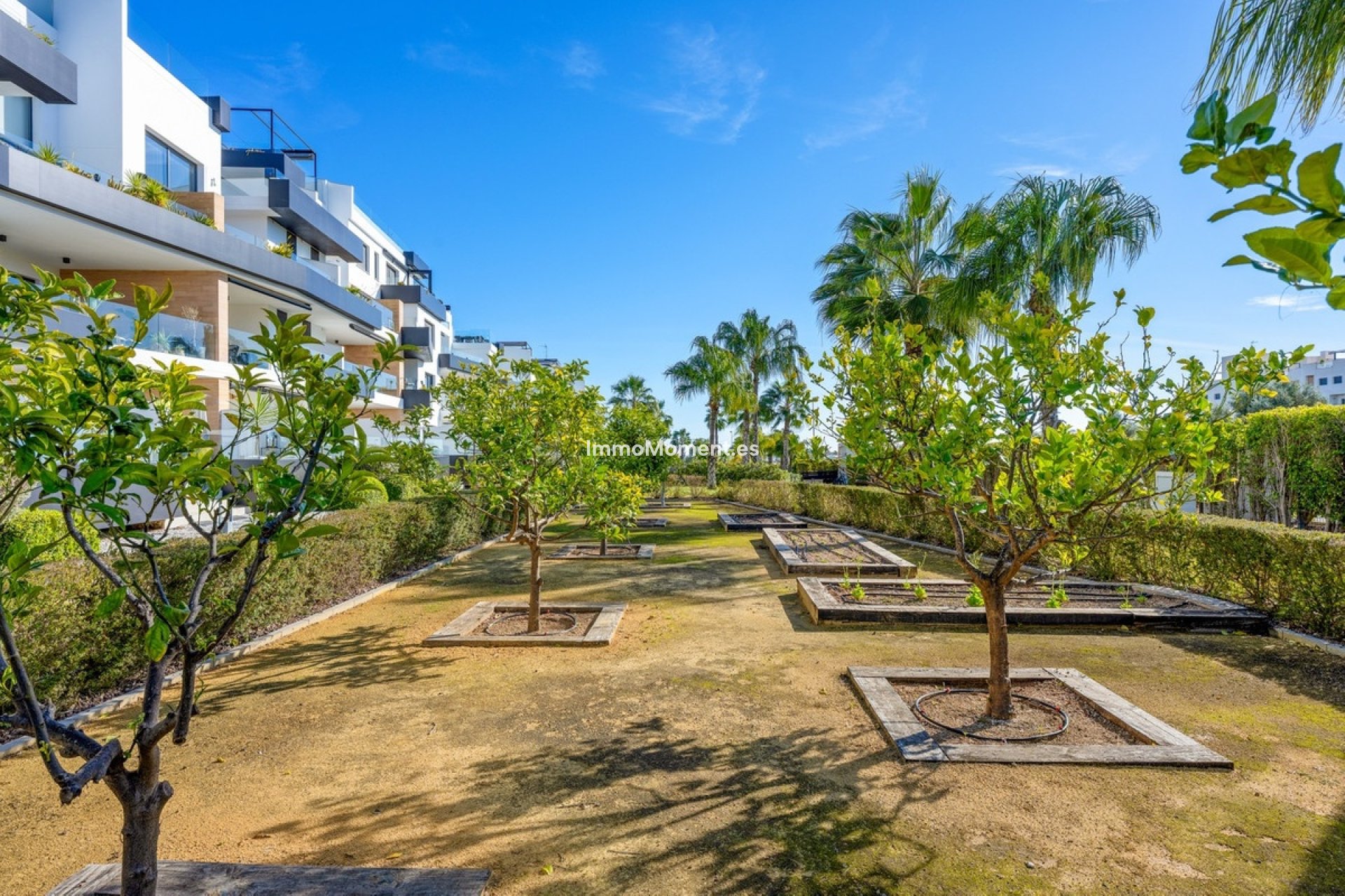 Revente - Appartement - Orihuela Costa - Villamartín