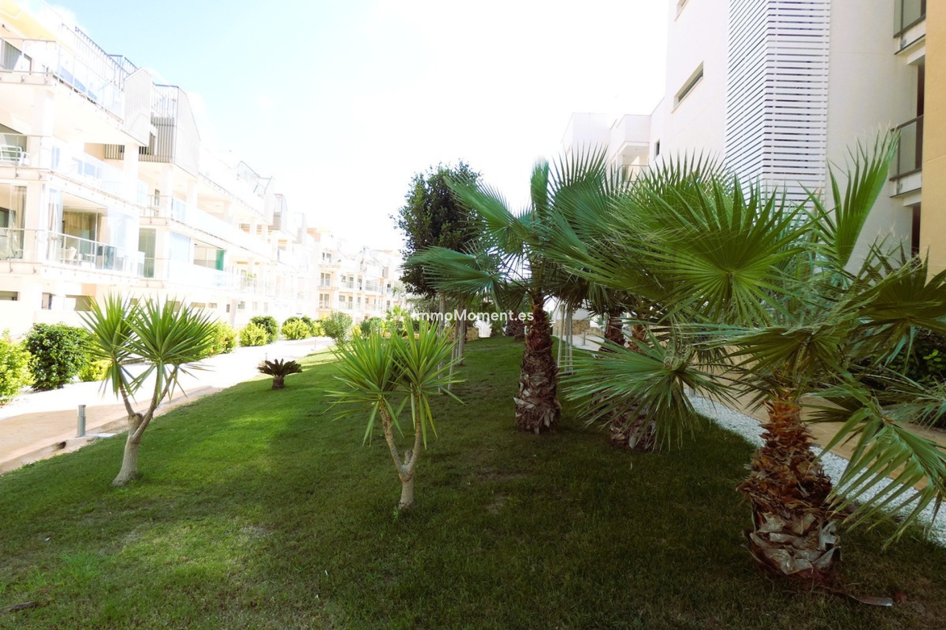 Revente - Appartement - Orihuela - Los Dolses
