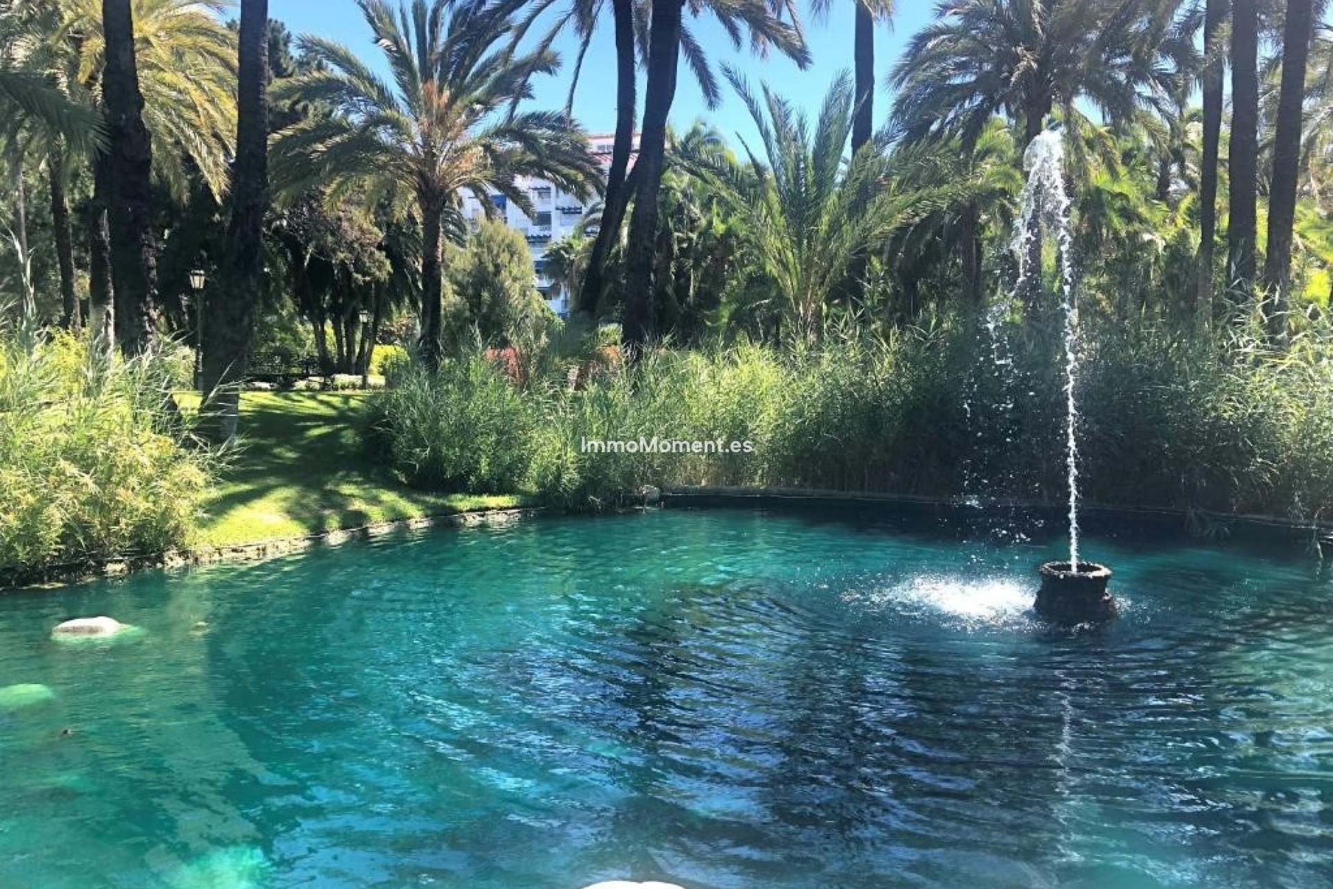 Revente - Appartement - Puerto Banús