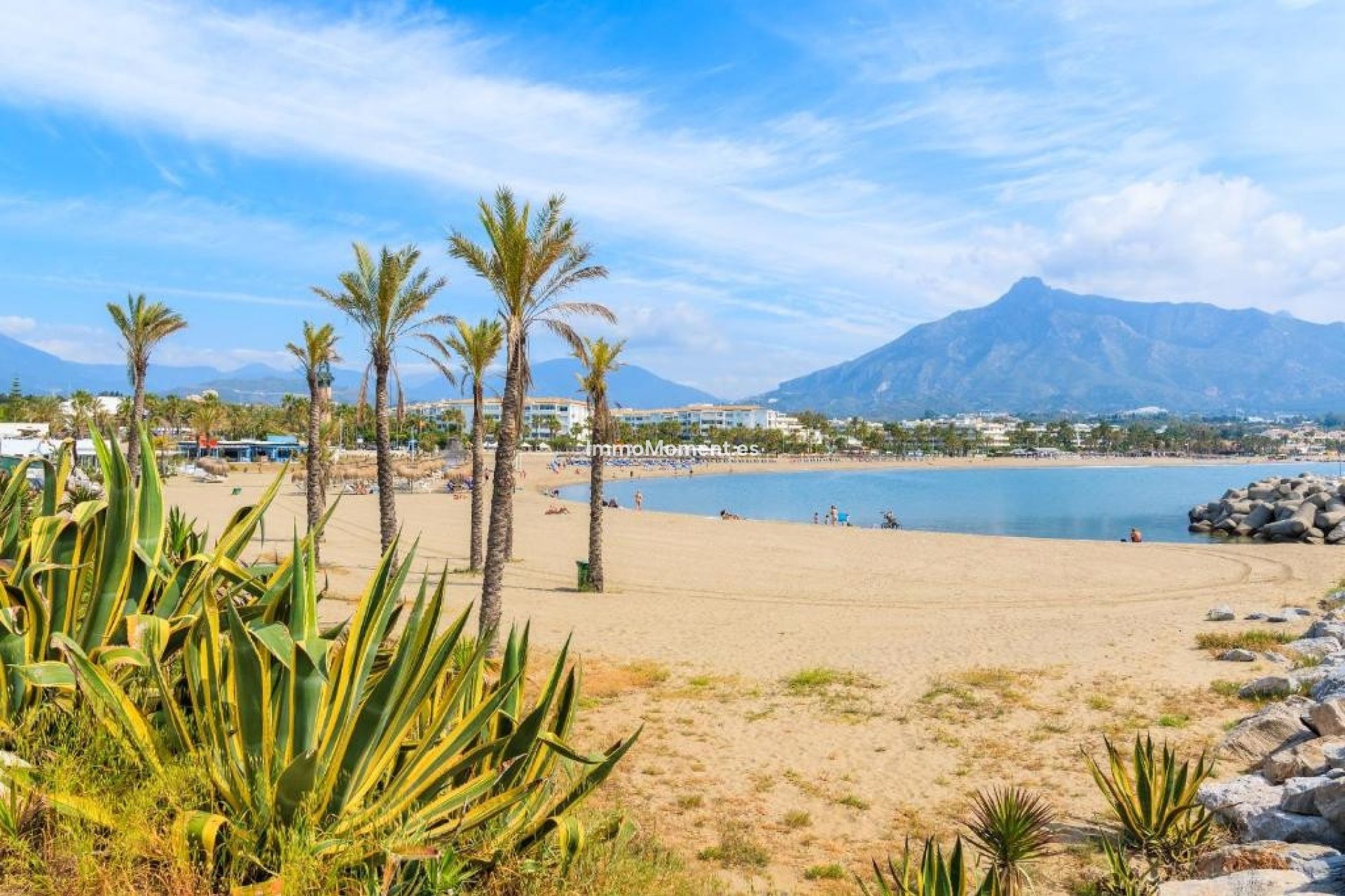 Revente - Appartement - Puerto Banús