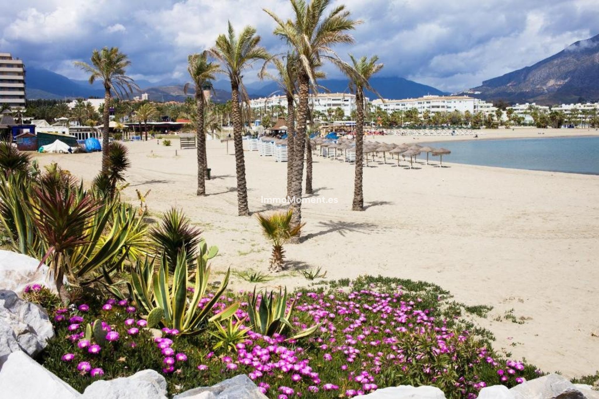 Revente - Appartement - Puerto Banús