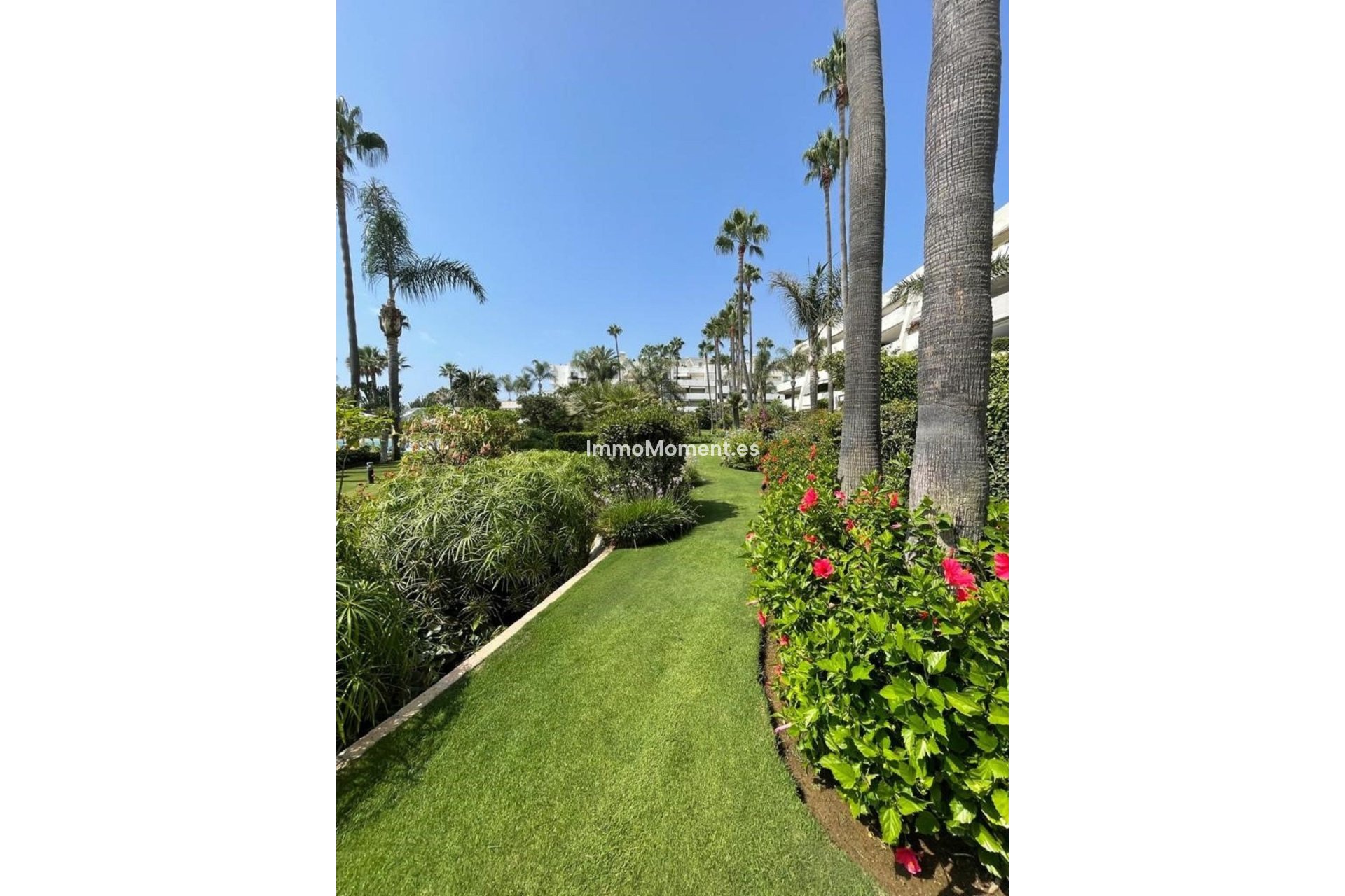 Revente - Appartement - Puerto Banús