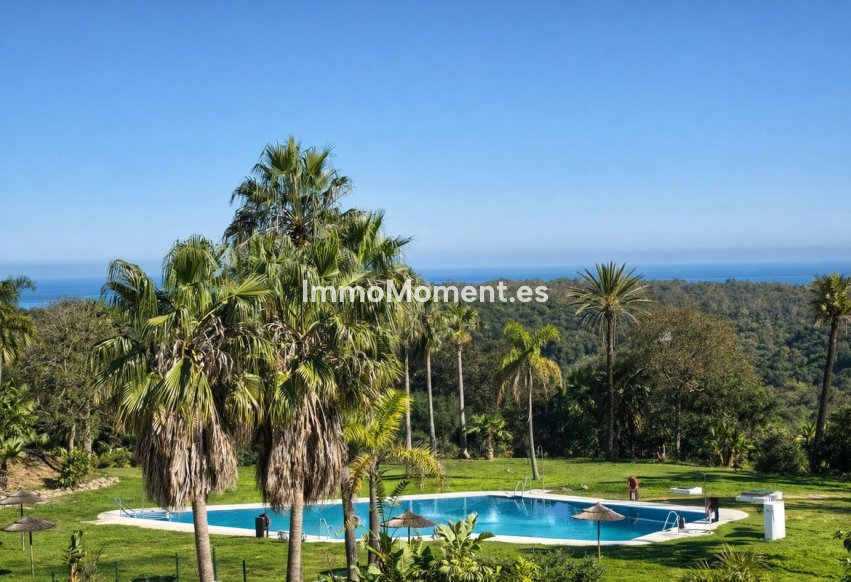 Revente - Appartement - Sotogrande - San Roque