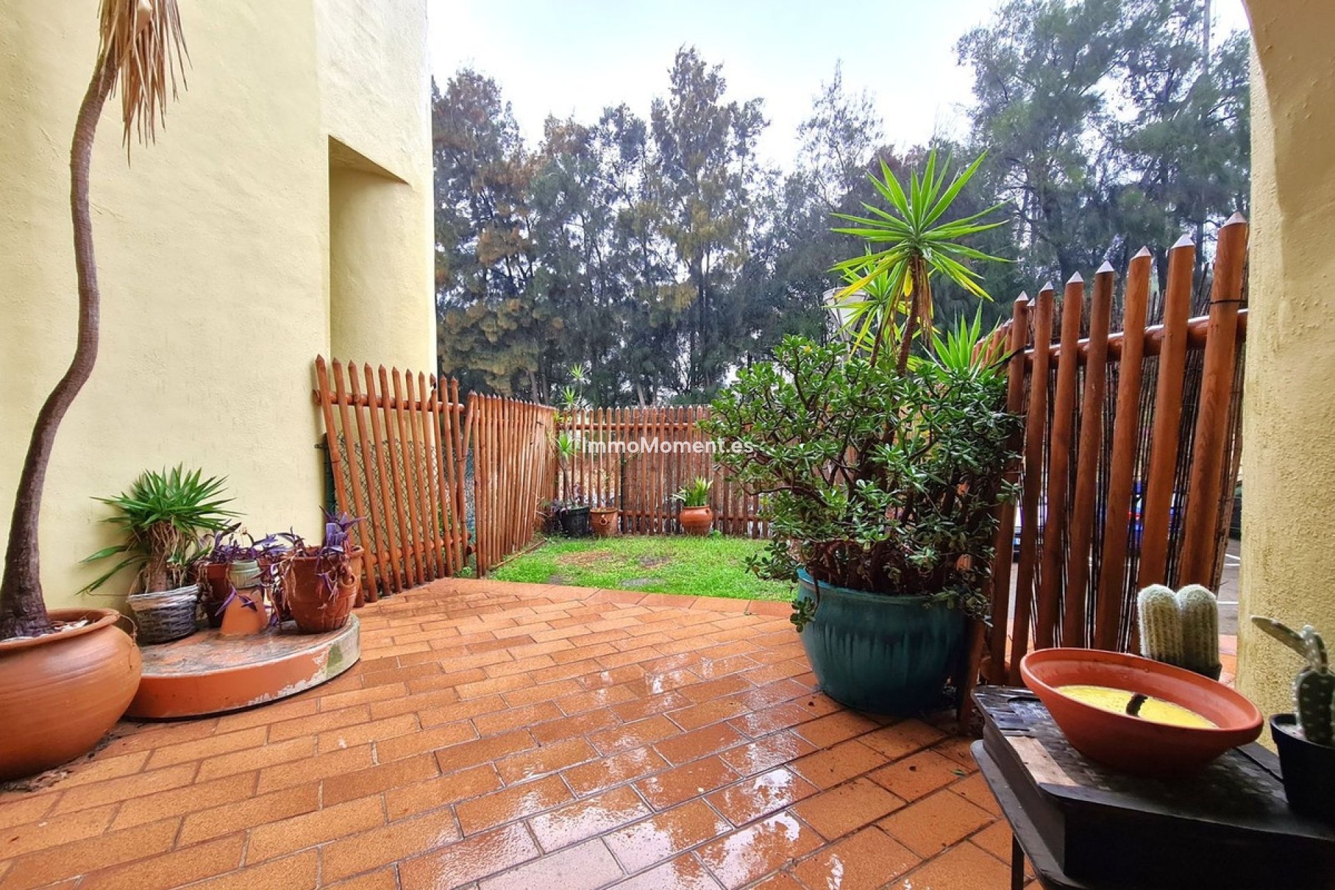 Revente - Appartement - Sotogrande