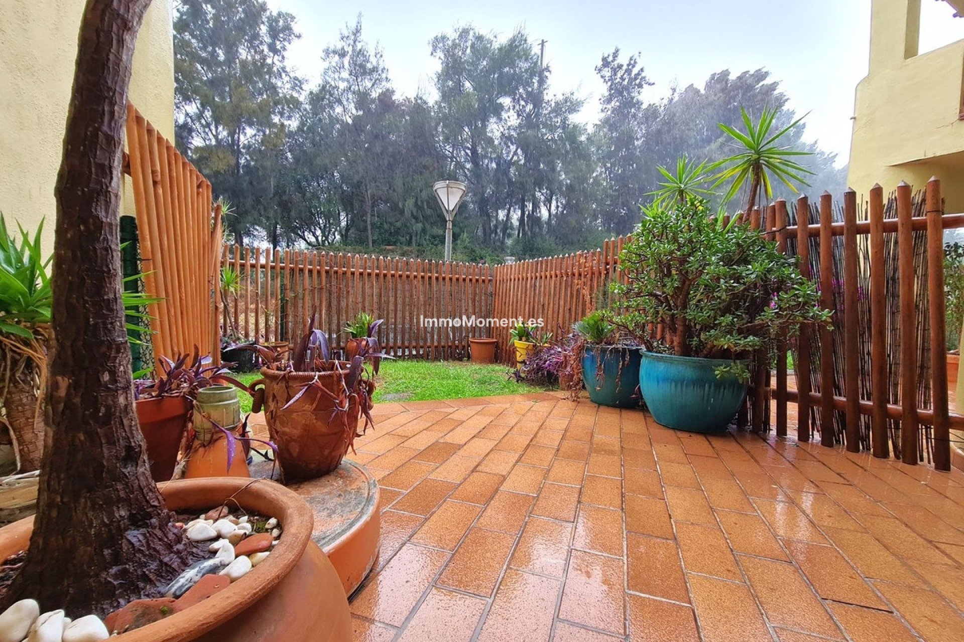 Revente - Appartement - Sotogrande