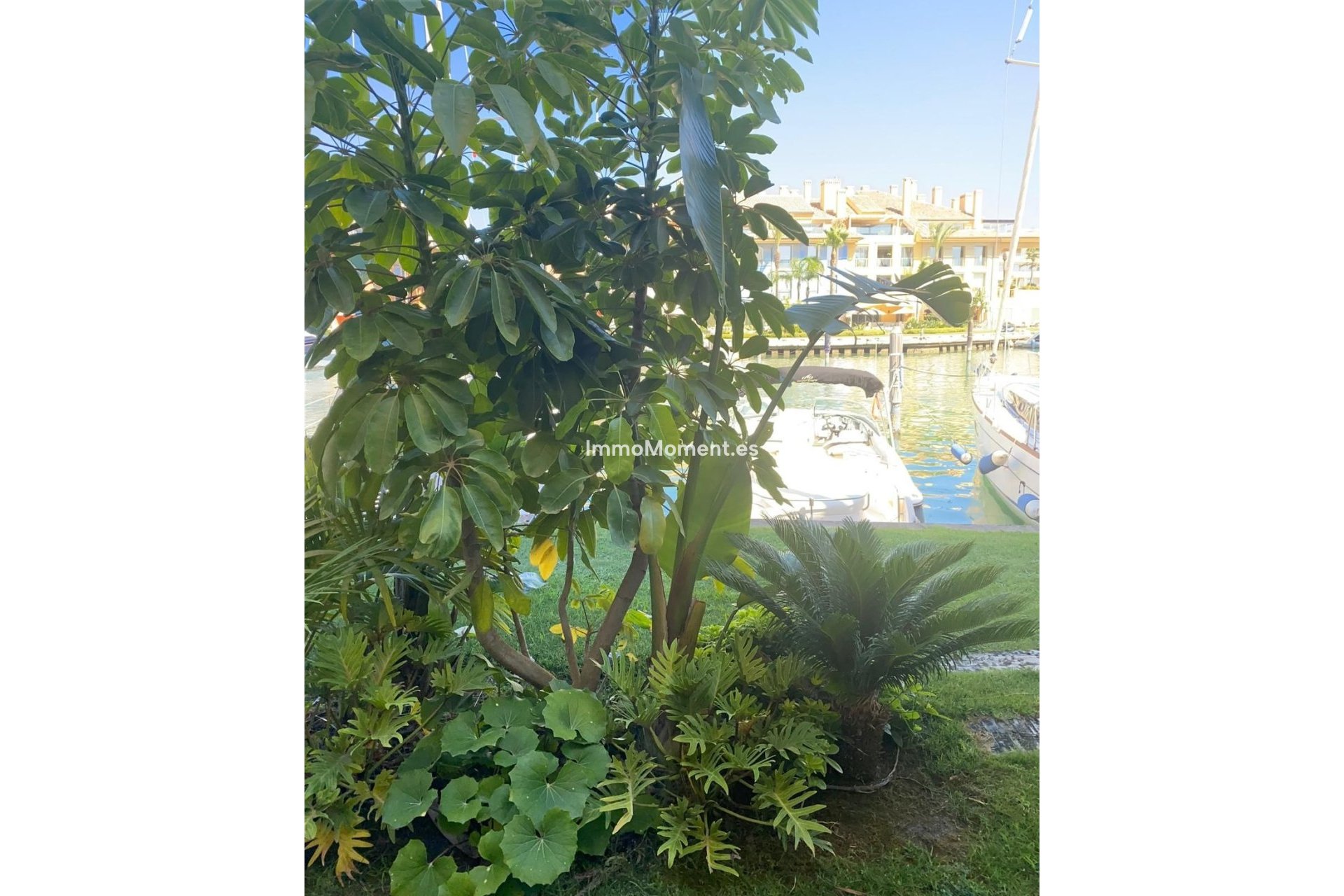 Revente - Appartement - Sotogrande