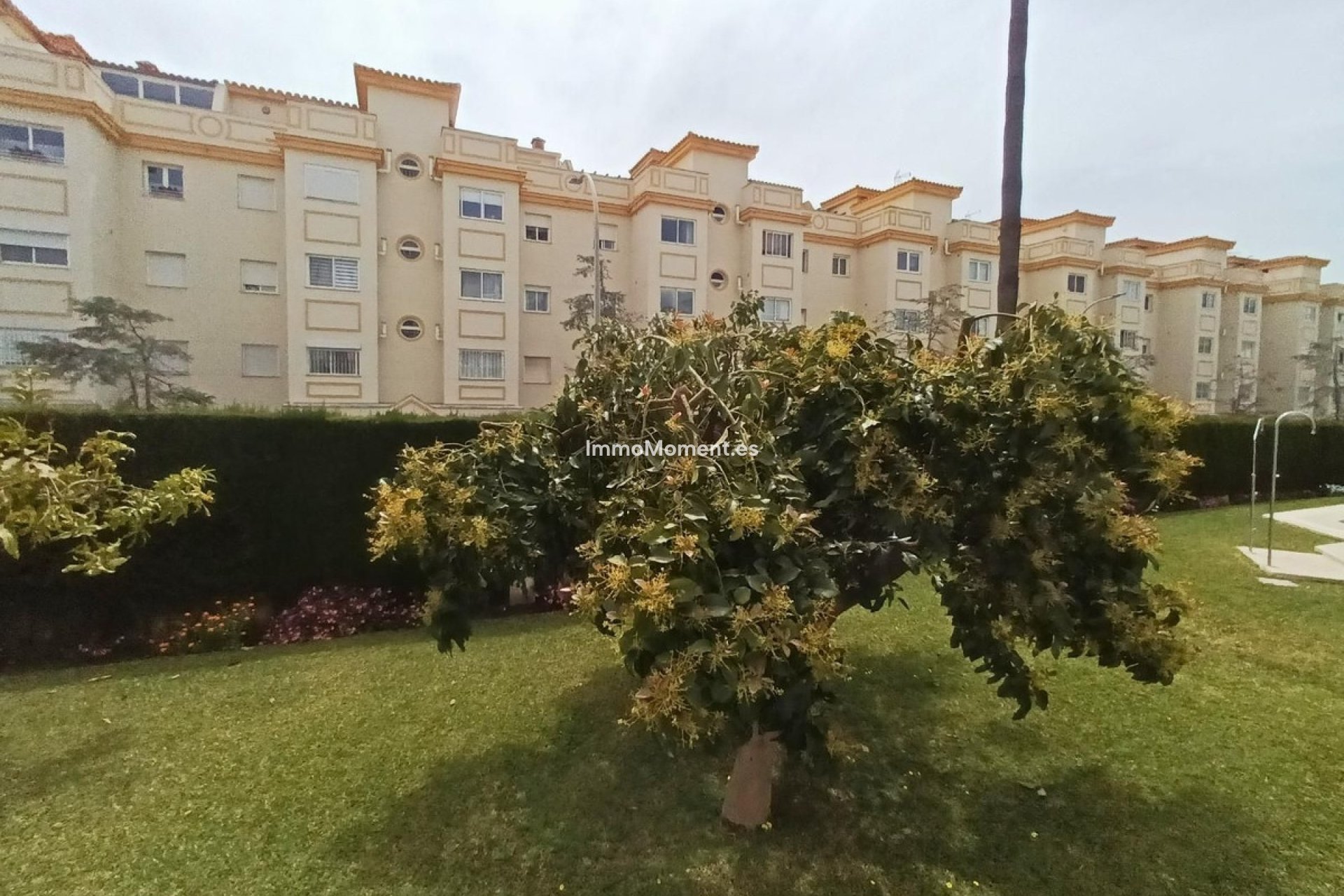 Revente - Appartement - Torremolinos - El Pinillo