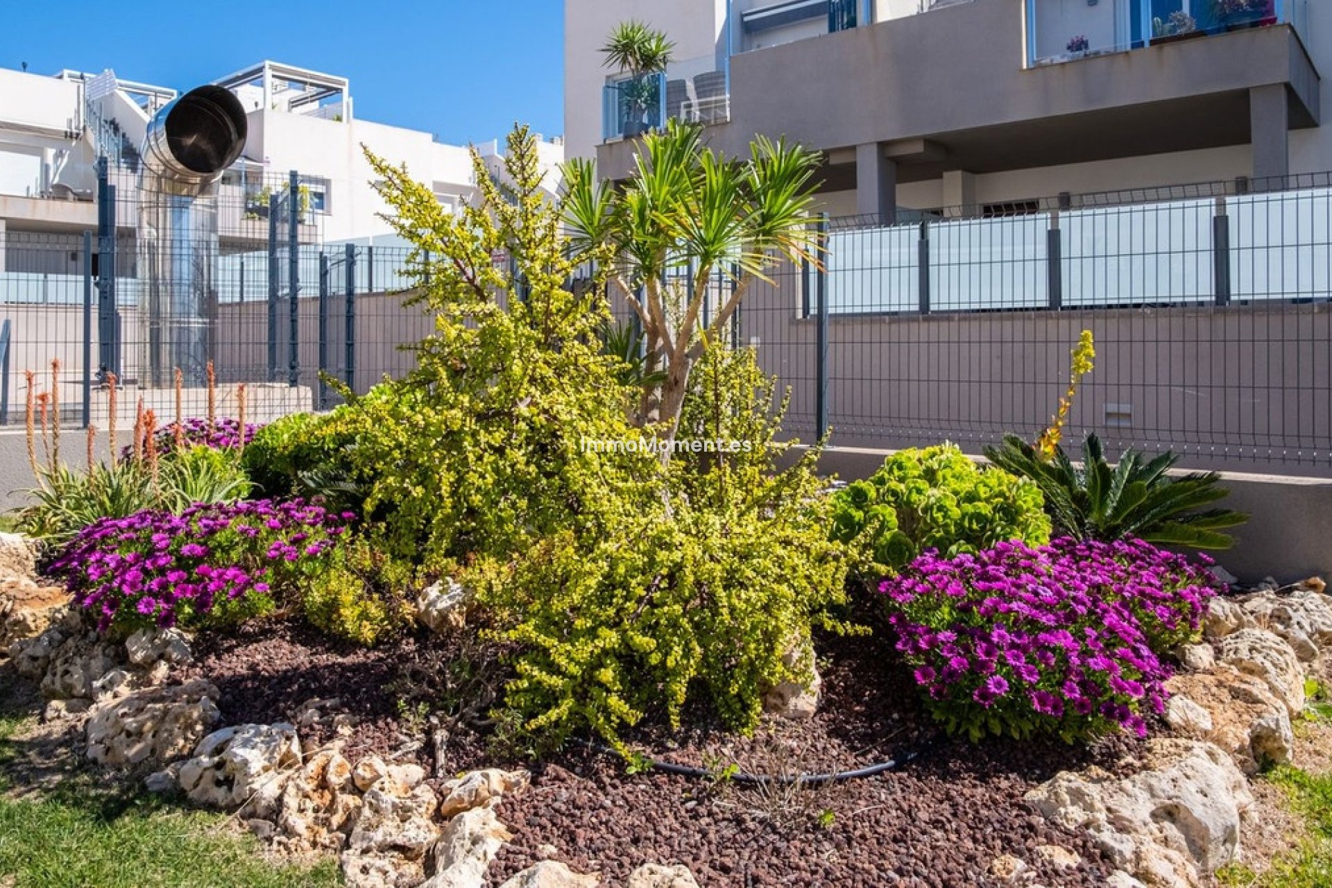 Revente - Appartement - Torrevieja - Aguas Nuevas