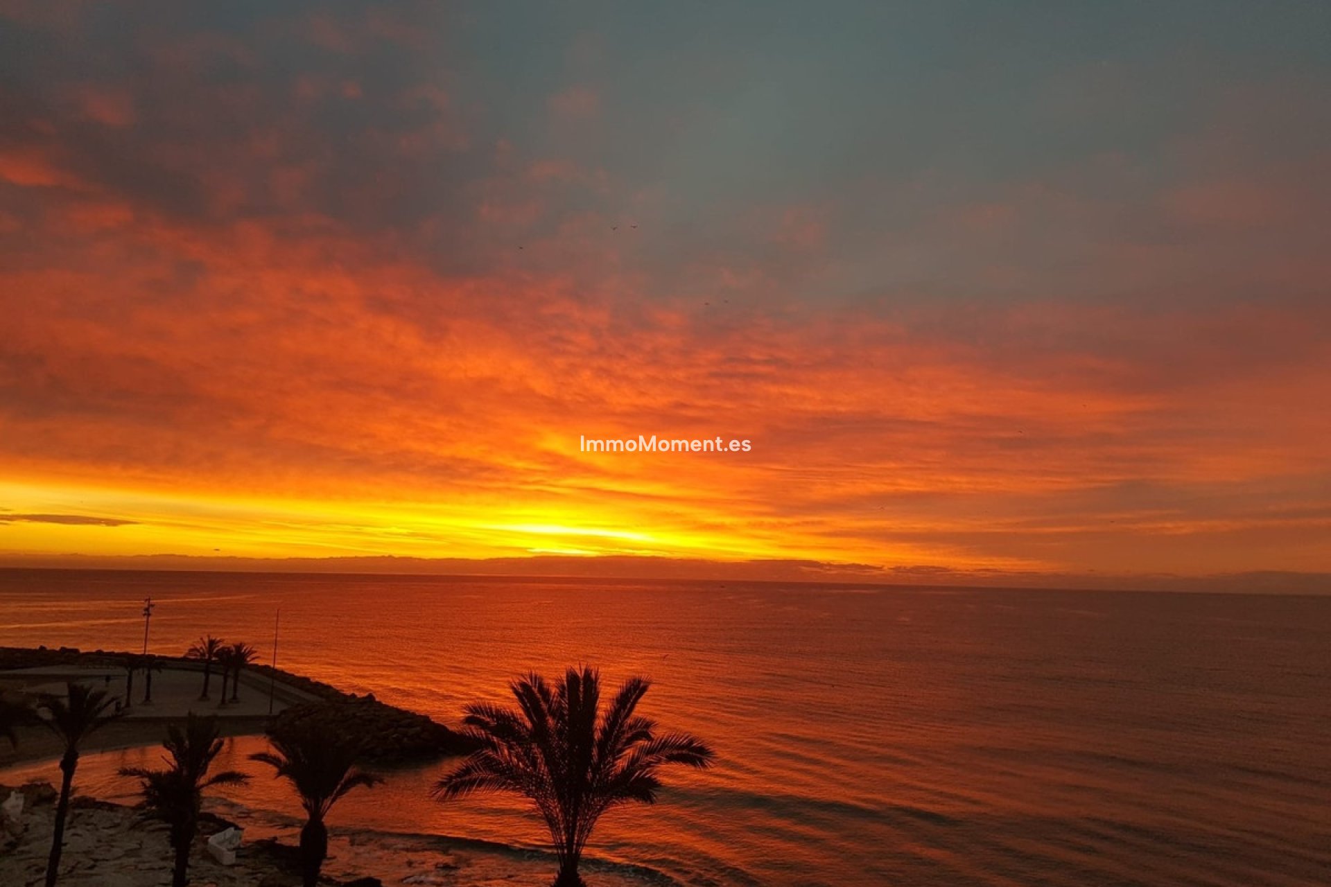 Revente - Appartement - Torrevieja - Playa del Cura