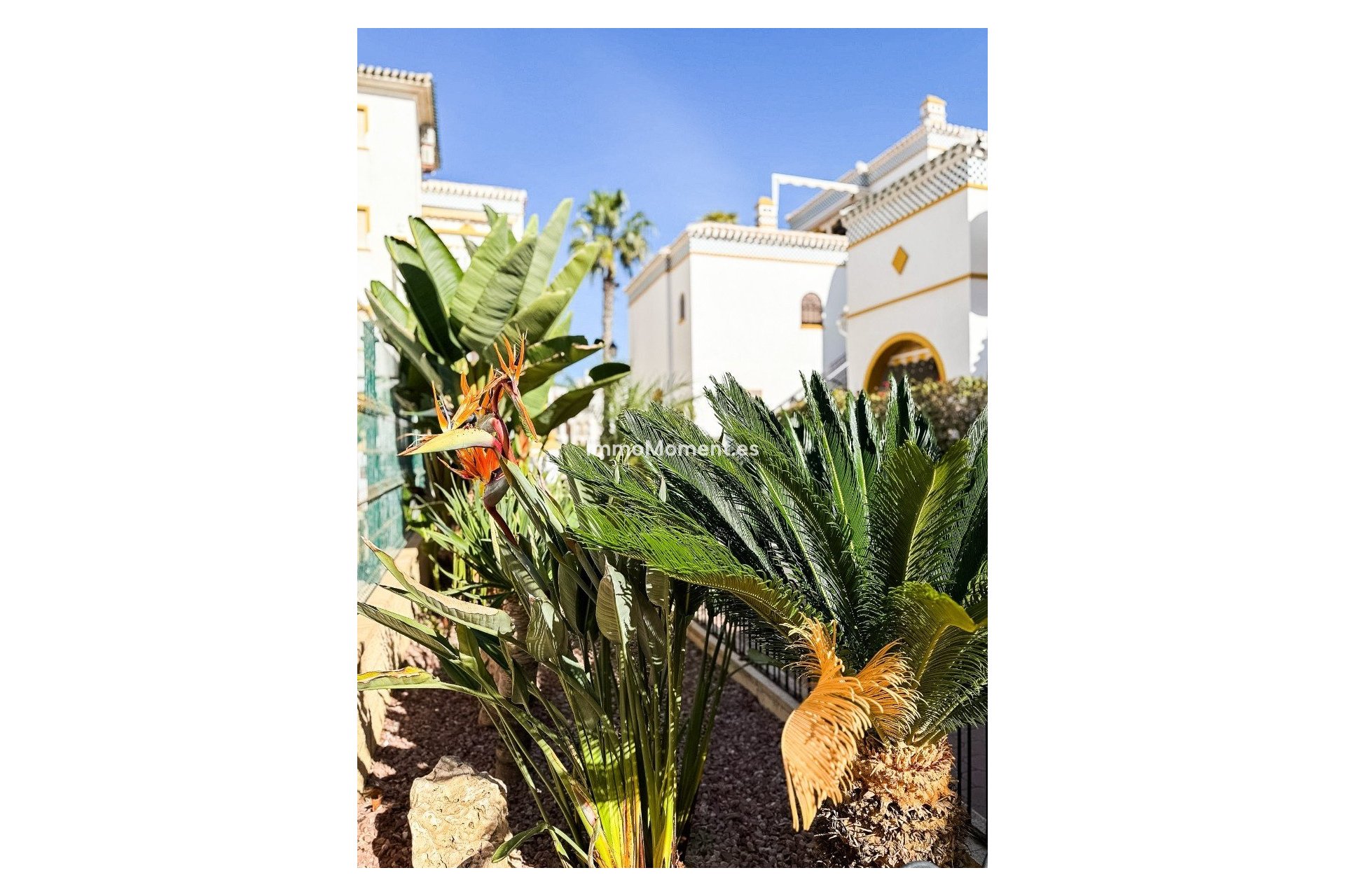 Revente - Appartement - Torrevieja - Torrevieja Centro