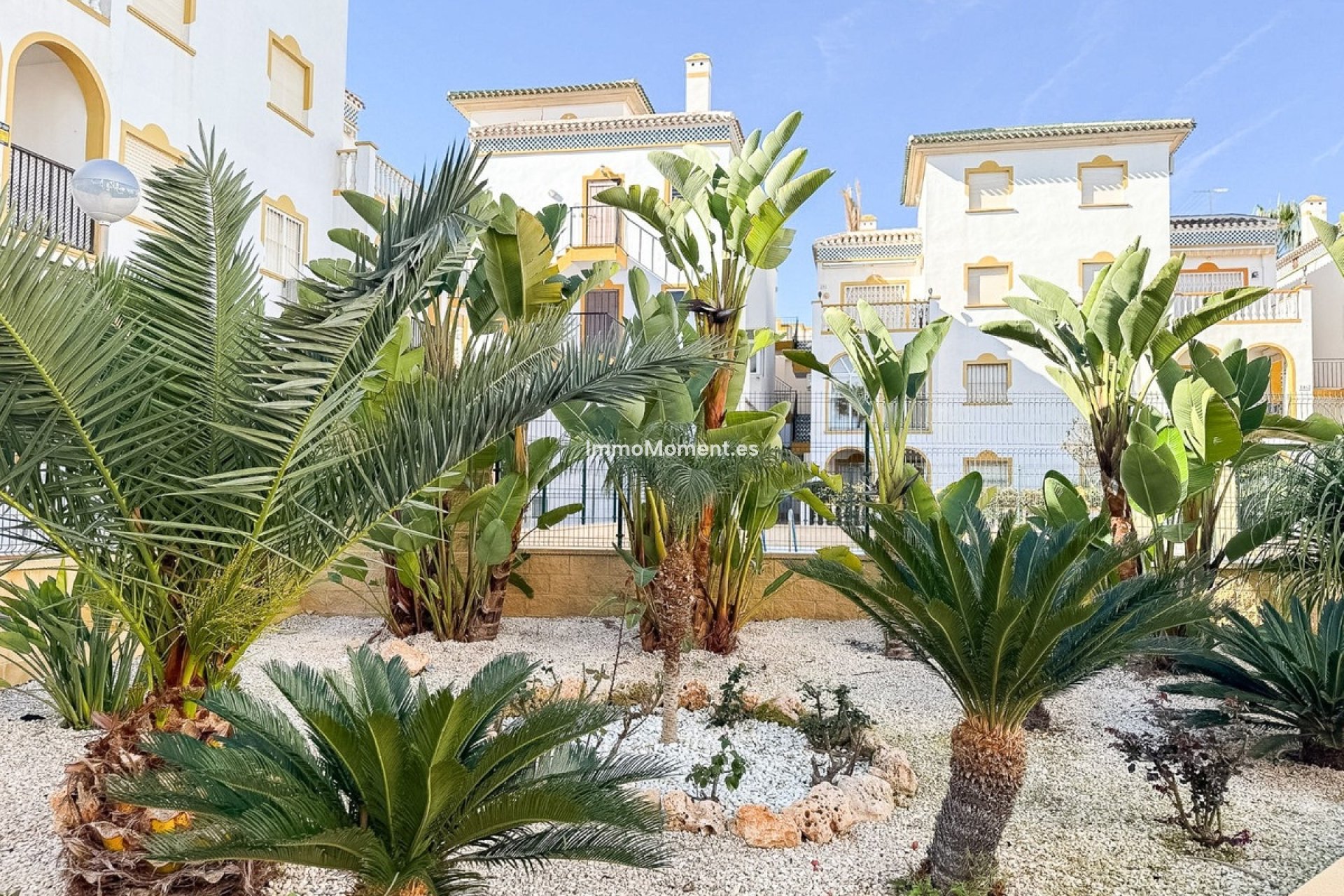 Revente - Appartement - Torrevieja - Torrevieja Centro