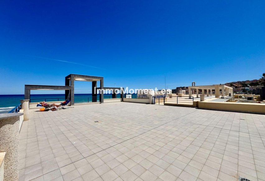 Revente - Appartement - Torrevieja - Torrevieja Centro