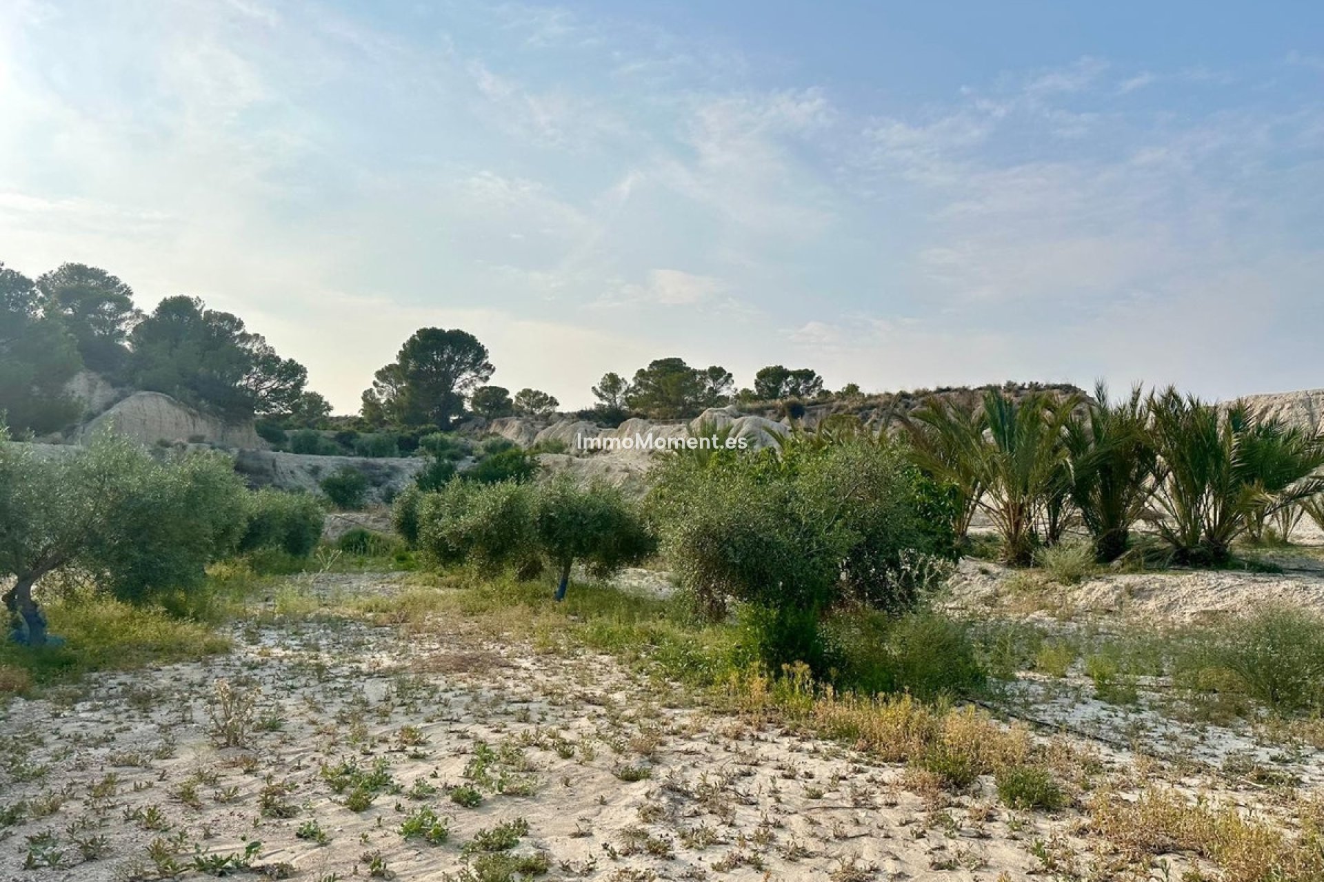 Revente - Maison de campagne - Abanilla - Abanilla Centro