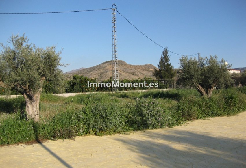 Revente - Maison de campagne - Benferri