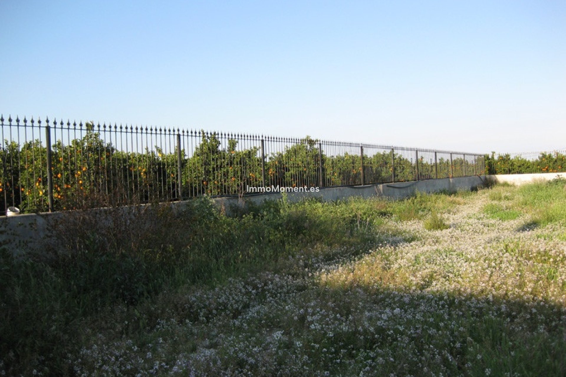 Revente - Maison de campagne - Benferri
