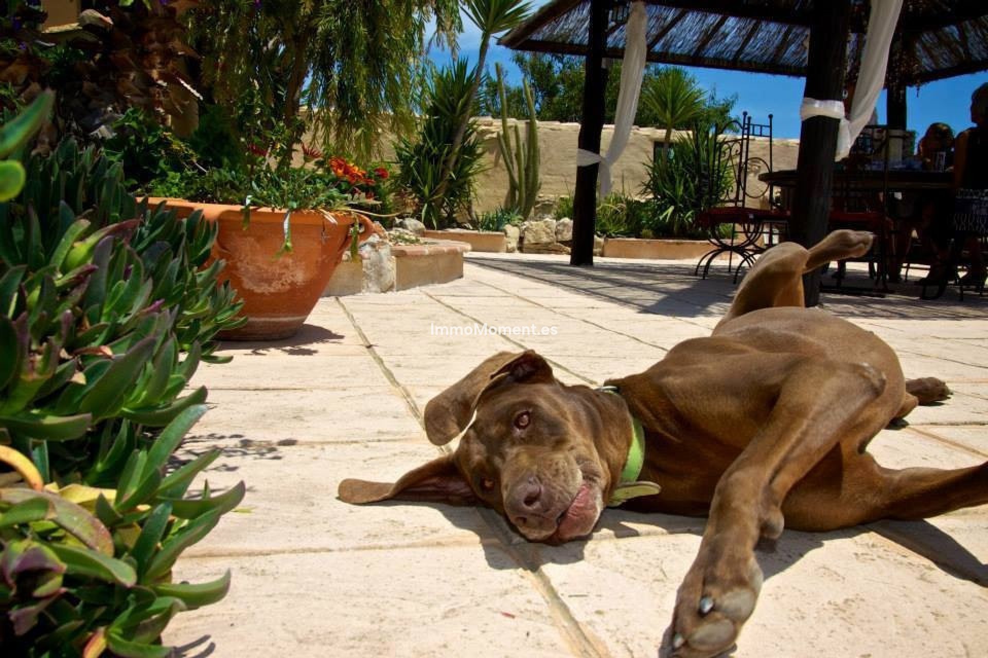 Revente - Maison de campagne - Benissa - Benissa Centro
