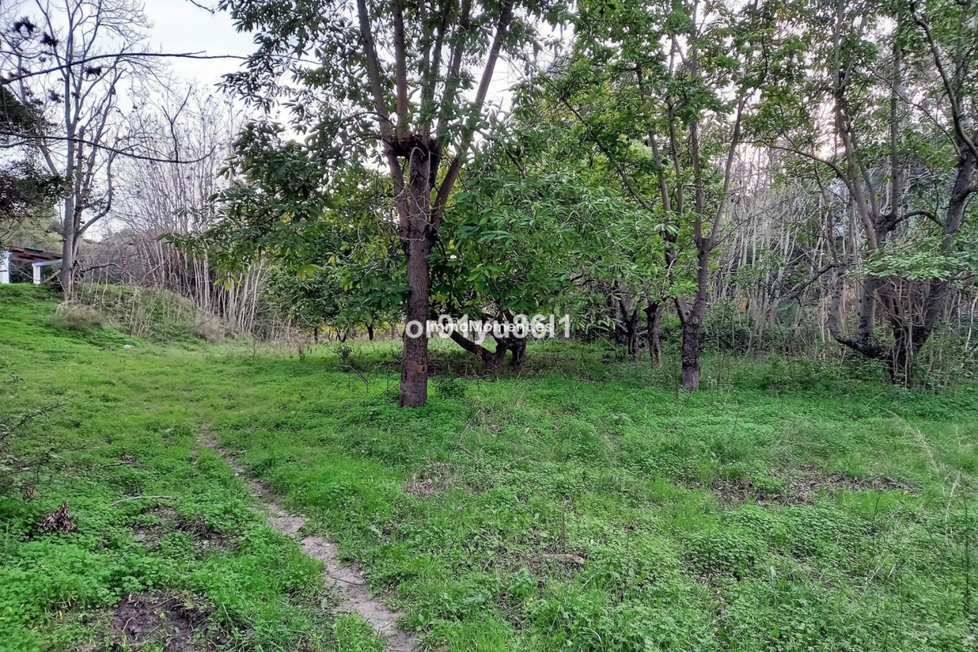 Revente - Maison de campagne - Casares - Casares Centro