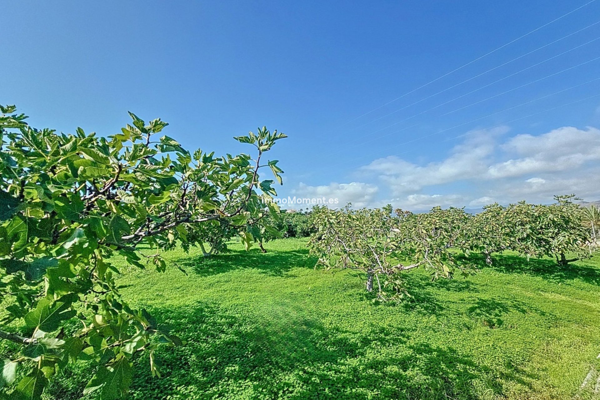 Revente - Maison de campagne - Estepona  - El Padron