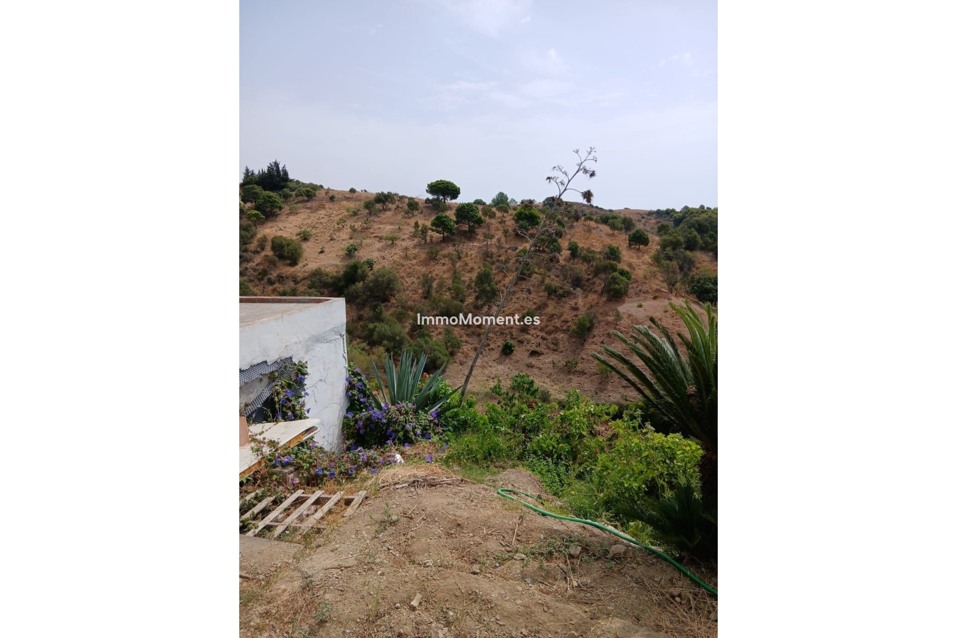 Revente - Maison de campagne - Estepona  - Estepona Centro