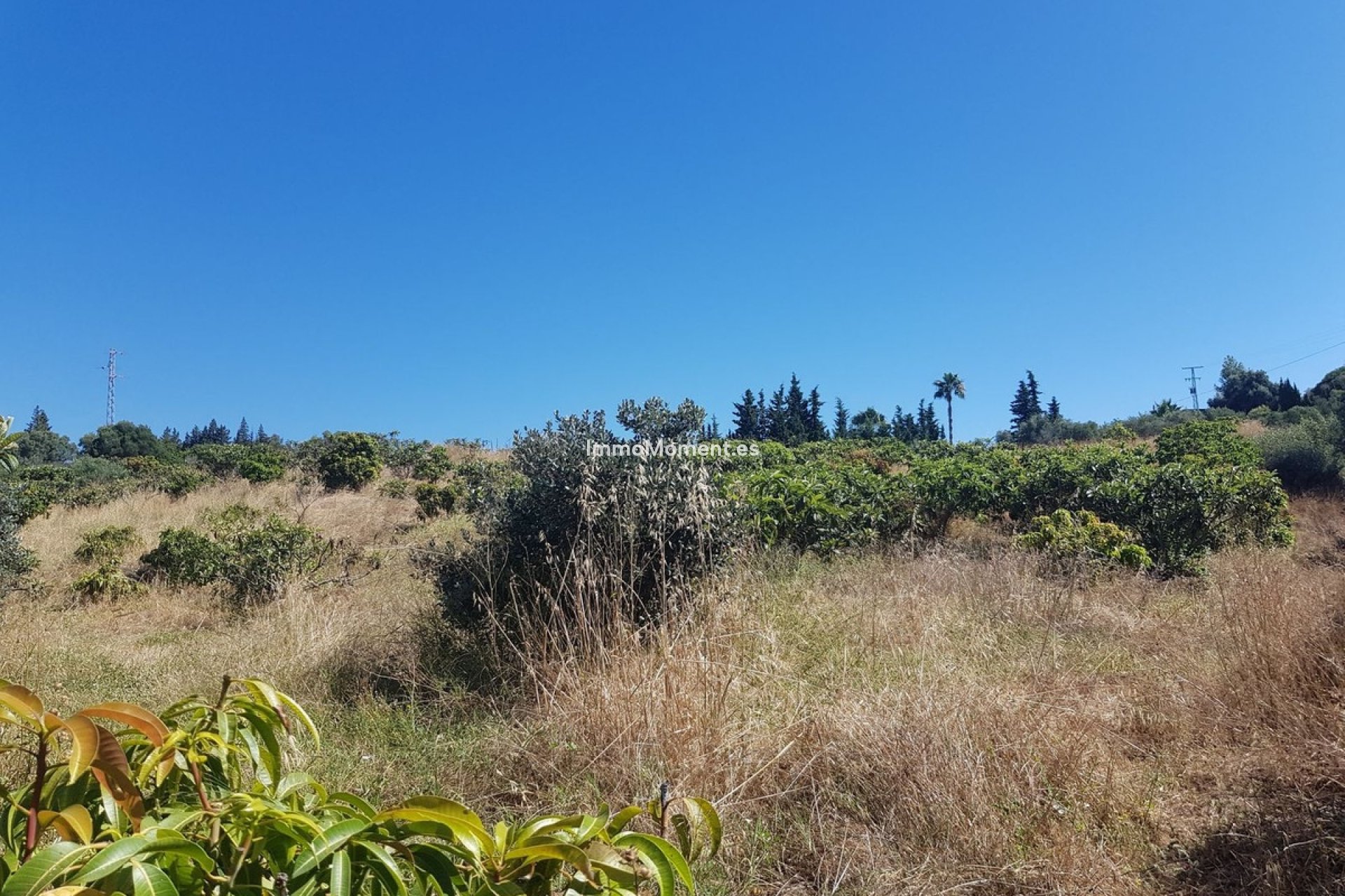 Revente - Maison de campagne - Estepona  - Estepona Centro