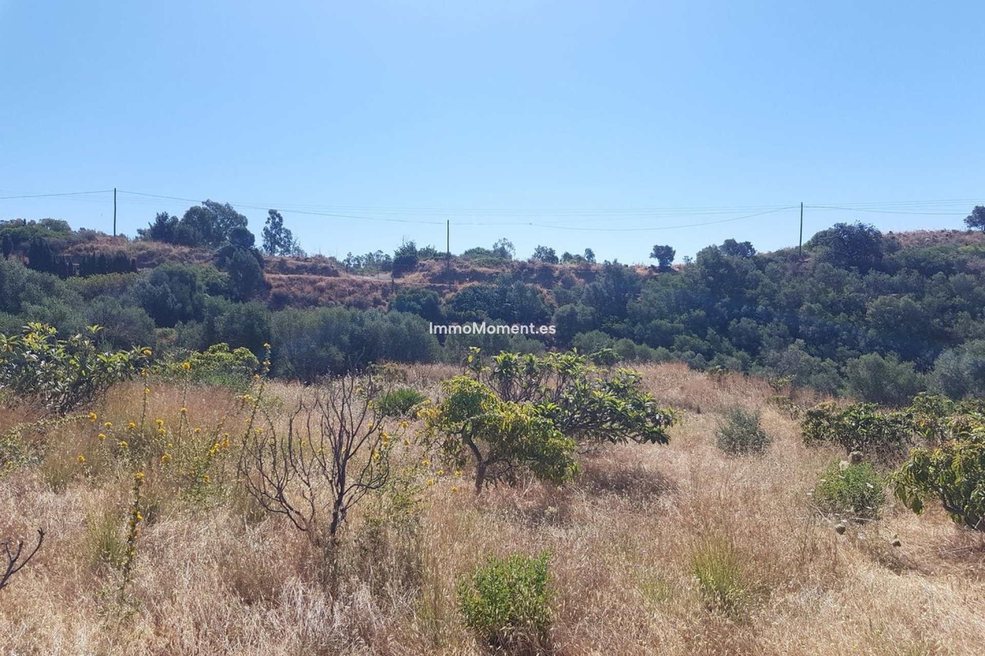 Revente - Maison de campagne - Estepona  - Estepona Centro