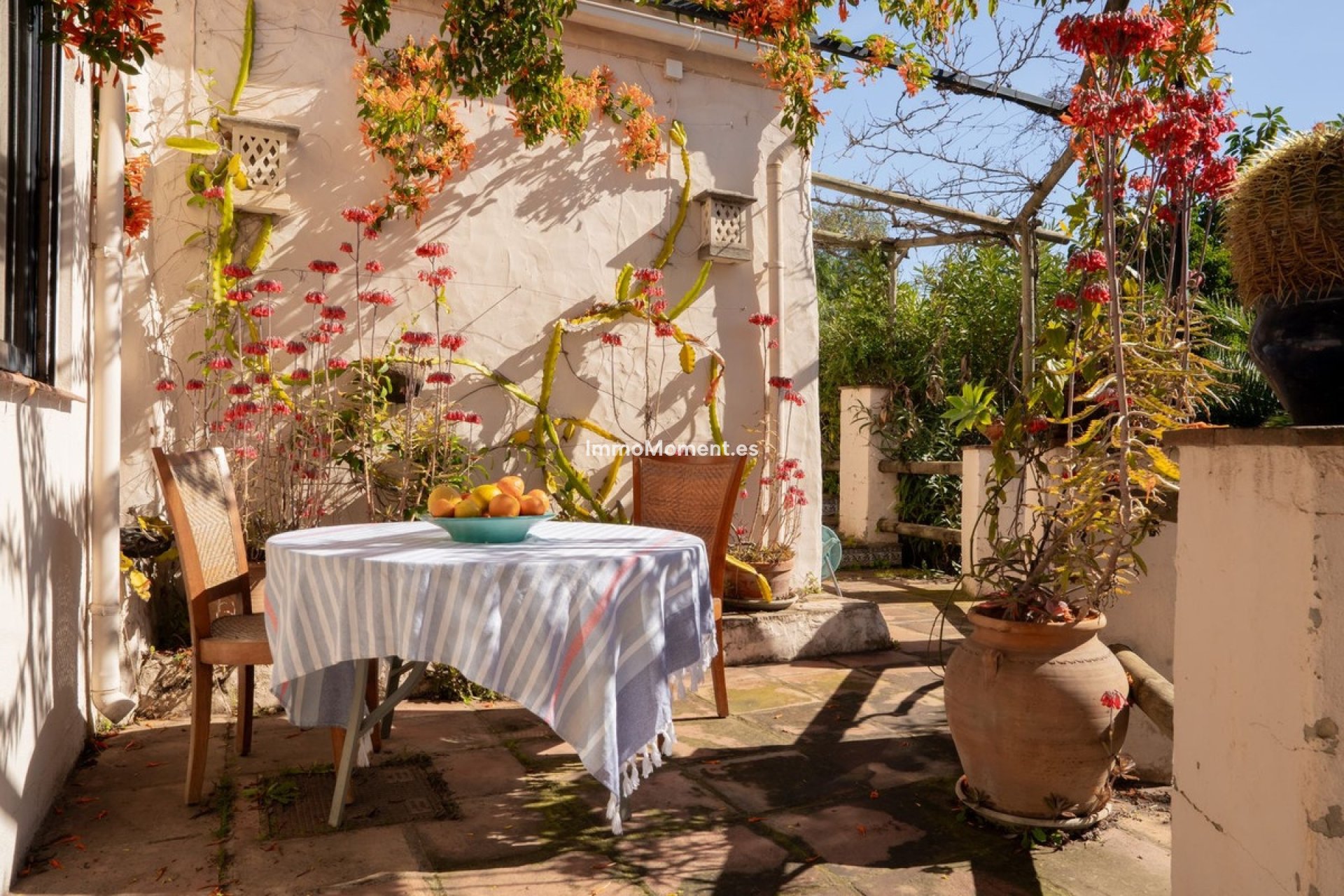 Revente - Maison de campagne - Estepona  - Estepona Centro