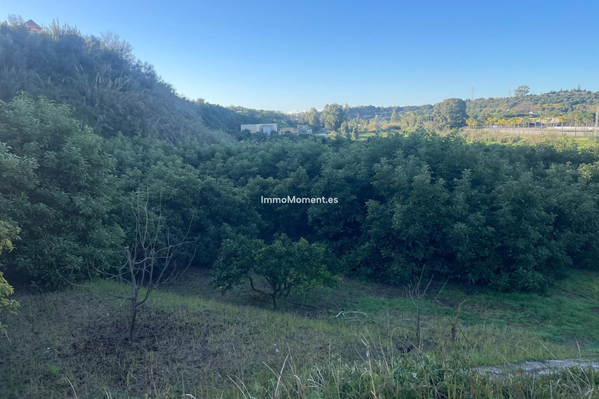 Revente - Maison de campagne - Estepona  - Estepona Centro