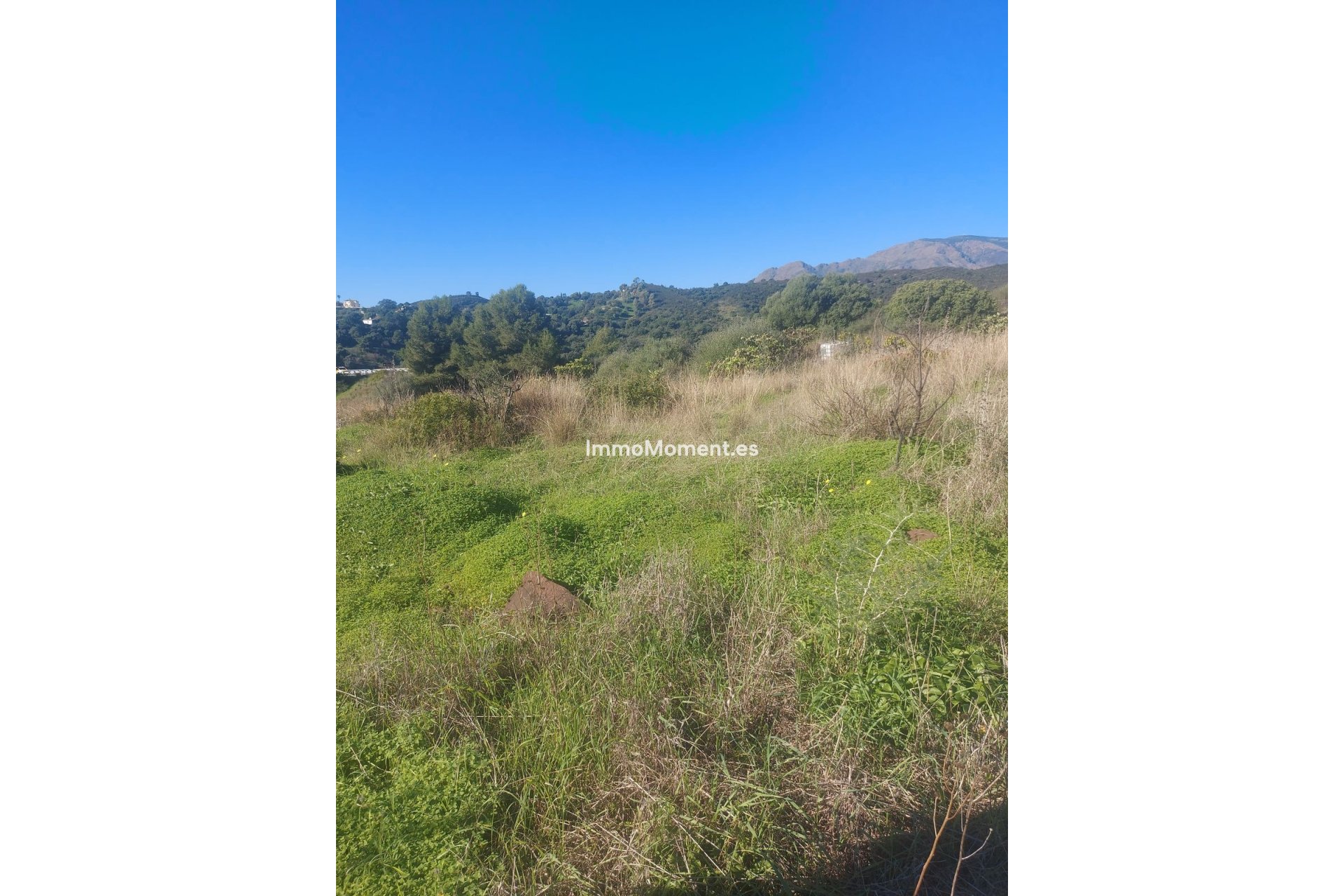 Revente - Maison de campagne - Estepona  - Estepona Centro