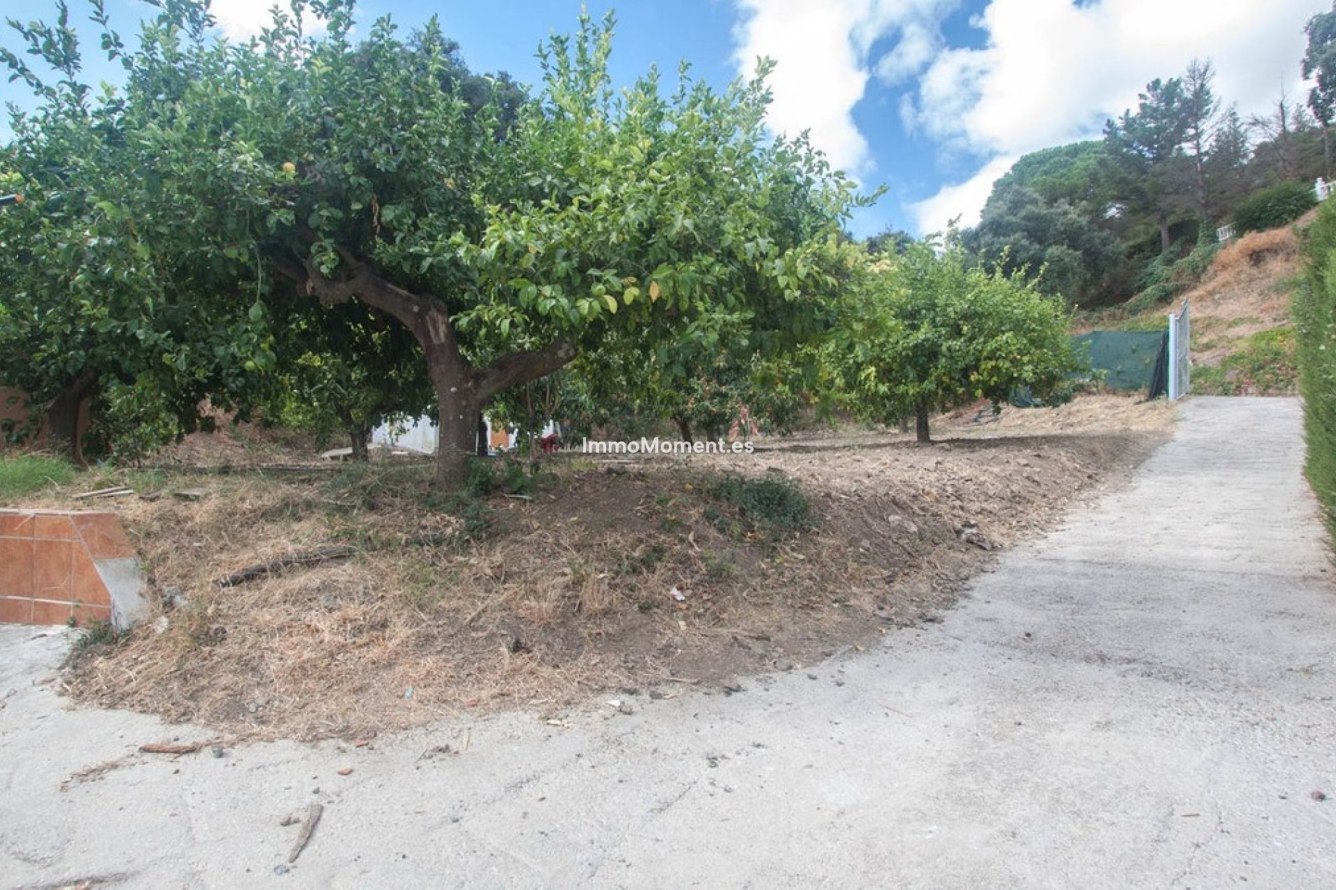 Revente - Maison de campagne - Estepona  - Estepona Centro