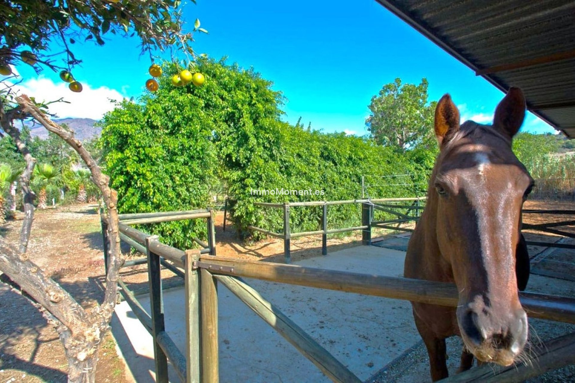 Revente - Maison de campagne - Estepona  - Estepona Centro