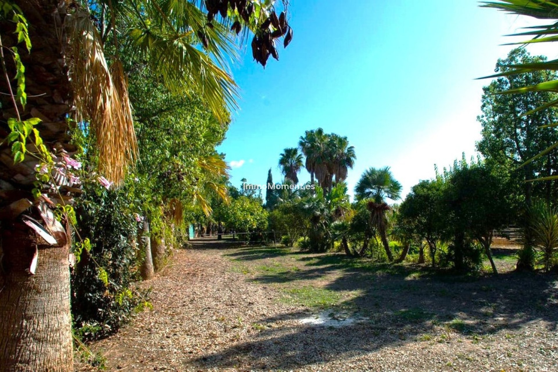 Revente - Maison de campagne - Estepona  - Estepona Centro