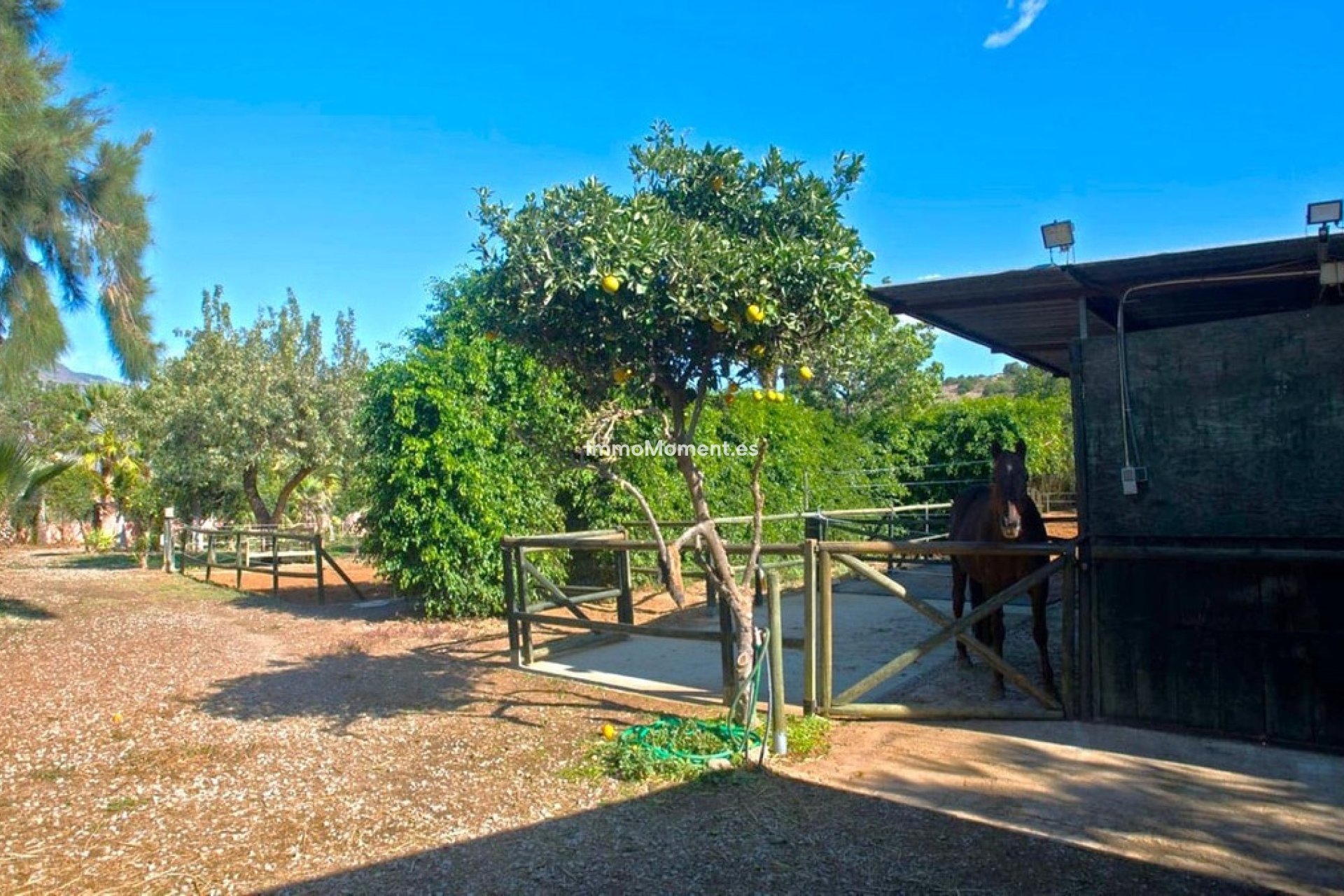 Revente - Maison de campagne - Estepona  - Estepona Centro