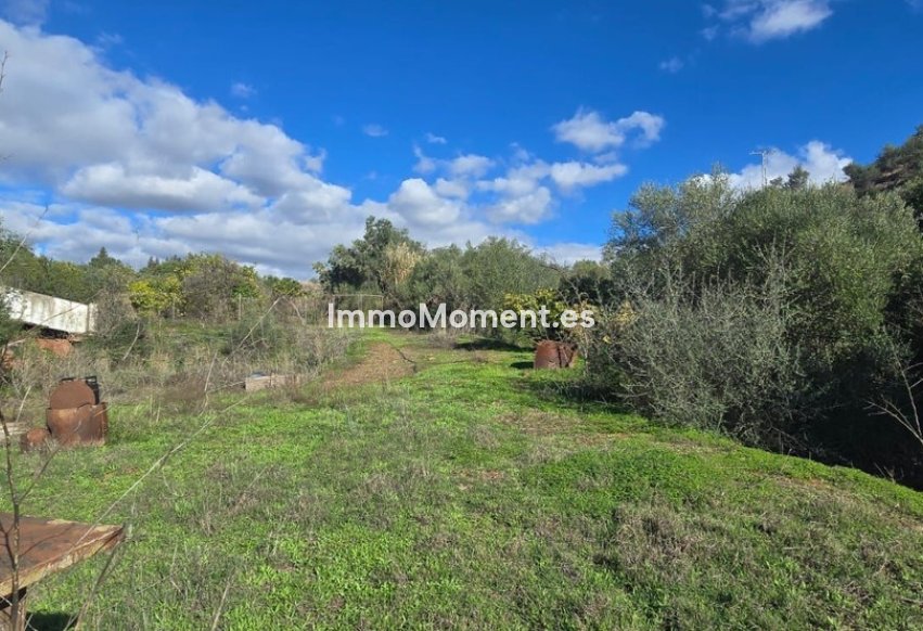 Revente - Maison de campagne - Estepona  - Estepona Centro