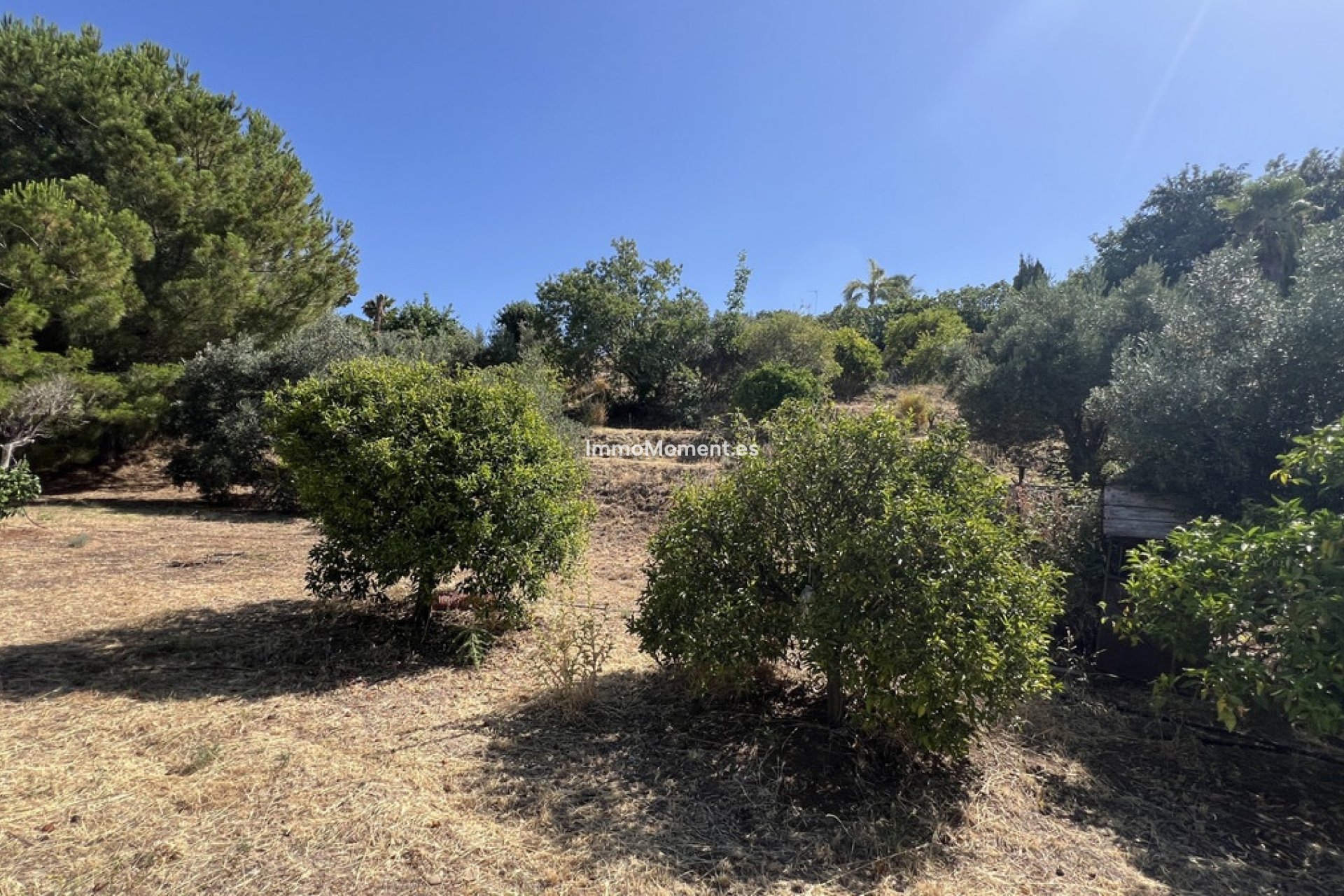 Revente - Maison de campagne - Estepona  - Estepona Centro