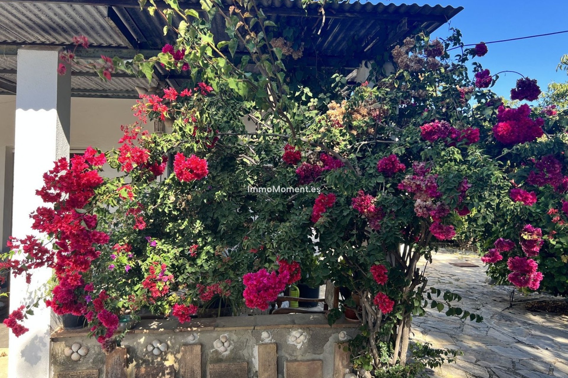 Revente - Maison de campagne - Estepona  - New Golden Mile