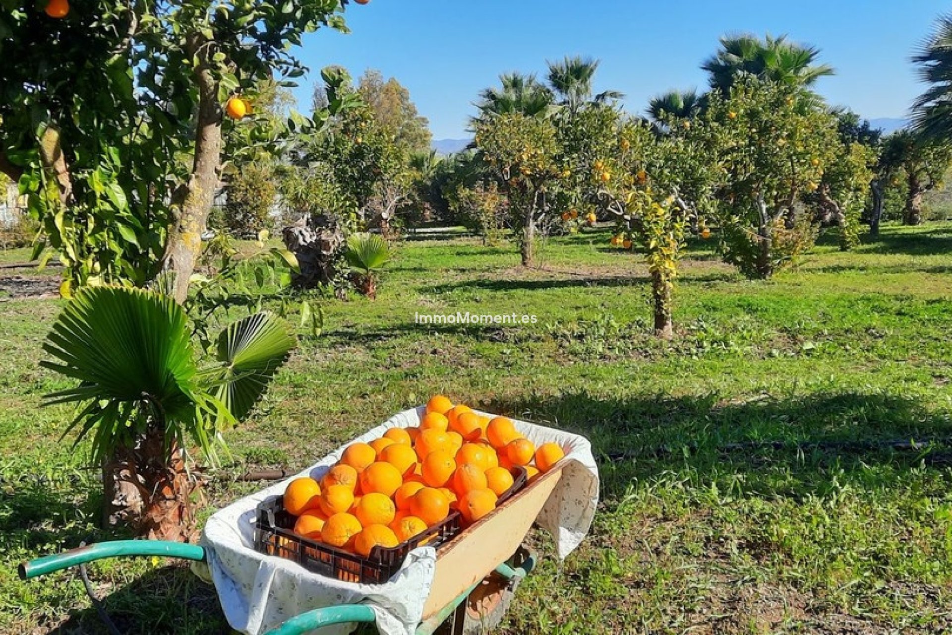Revente - Maison de campagne - Intérieur                       - Alhaurín de la Torre