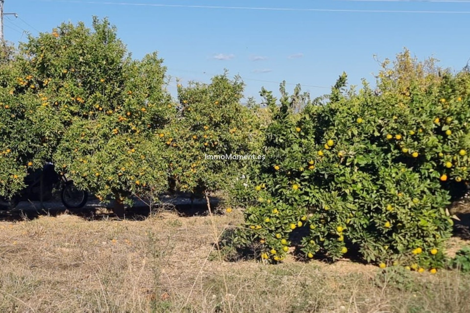 Revente - Maison de campagne - Intérieur                       - Alhaurín de la Torre