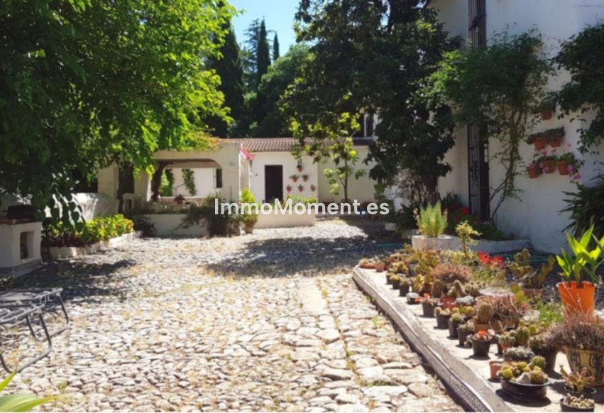 Revente - Maison de campagne - Intérieur                       - Alhaurín de la Torre