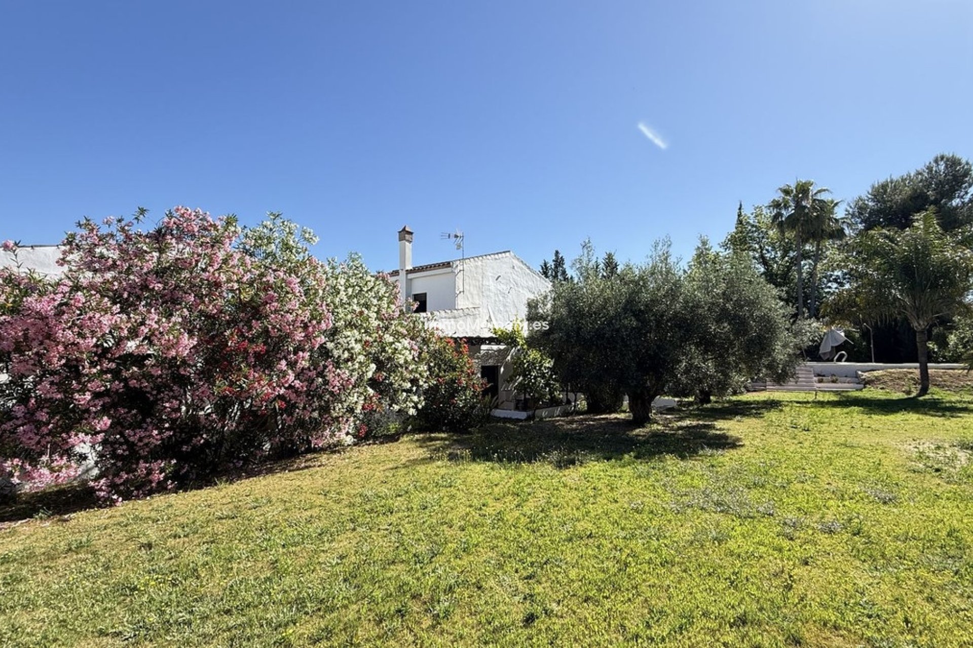 Revente - Maison de campagne - Intérieur                       - Alhaurín el Grande Centro