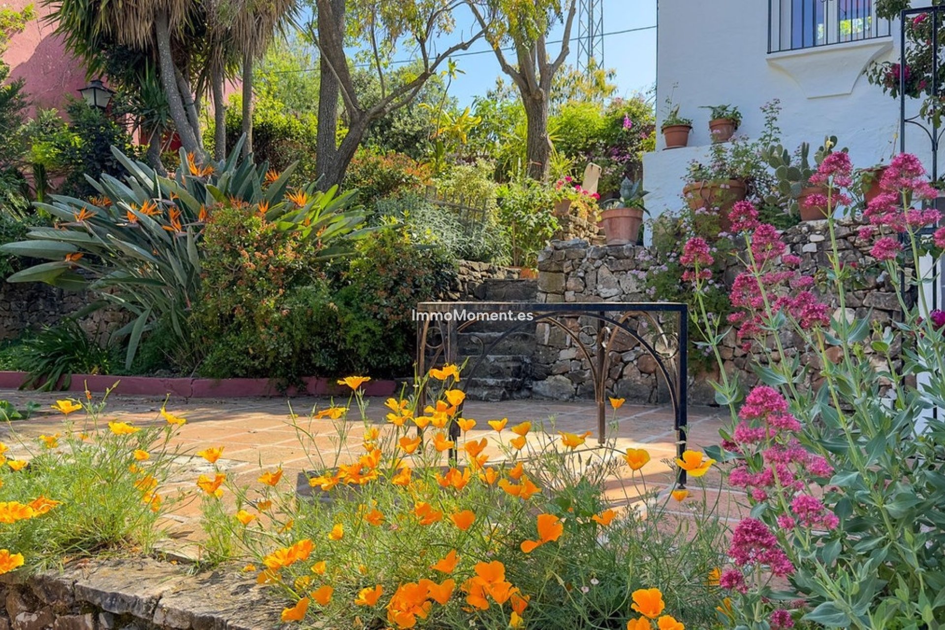 Revente - Maison de campagne - Intérieur                       - Alhaurín el Grande Centro