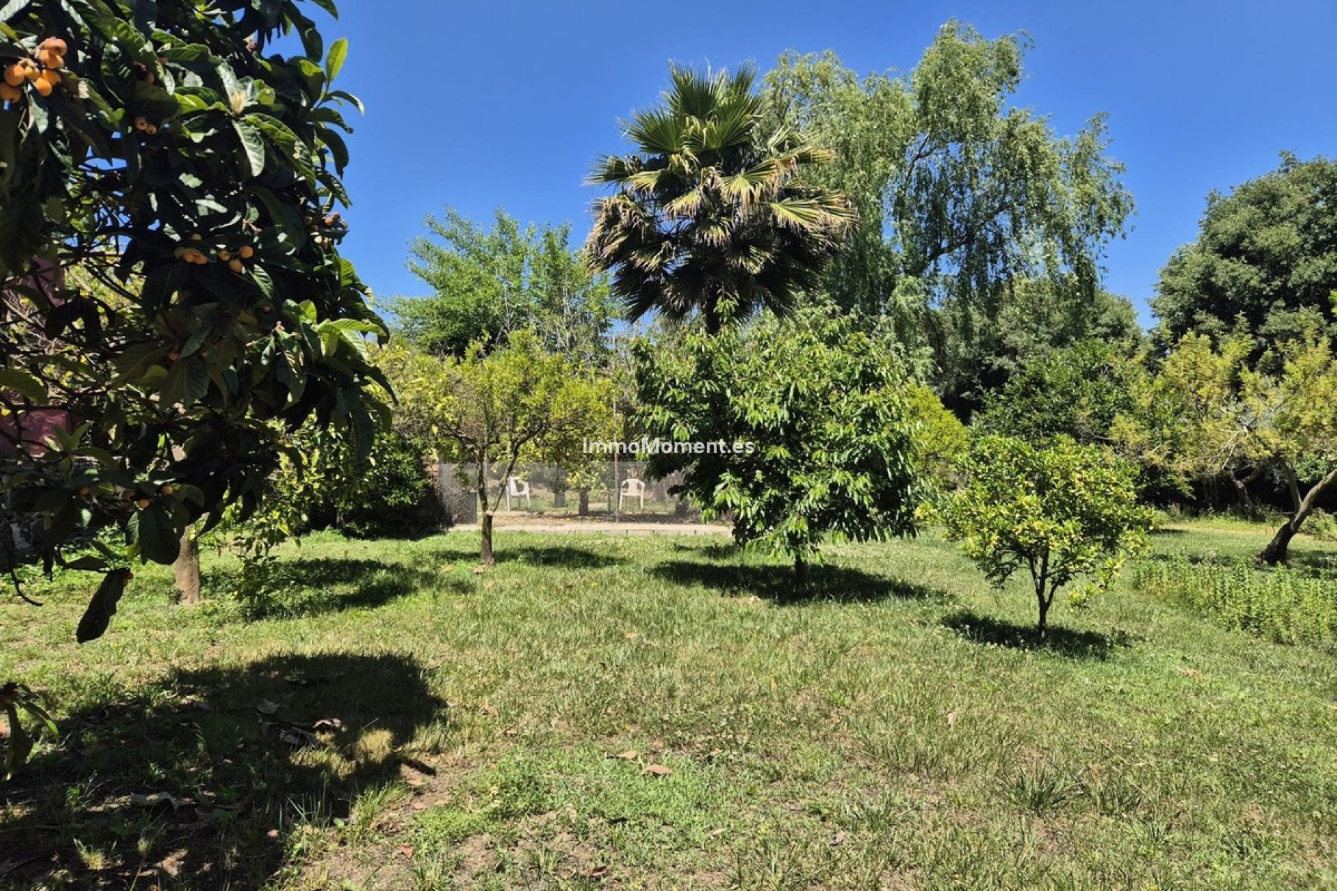 Revente - Maison de campagne - Intérieur                       - Alhaurín el Grande Centro