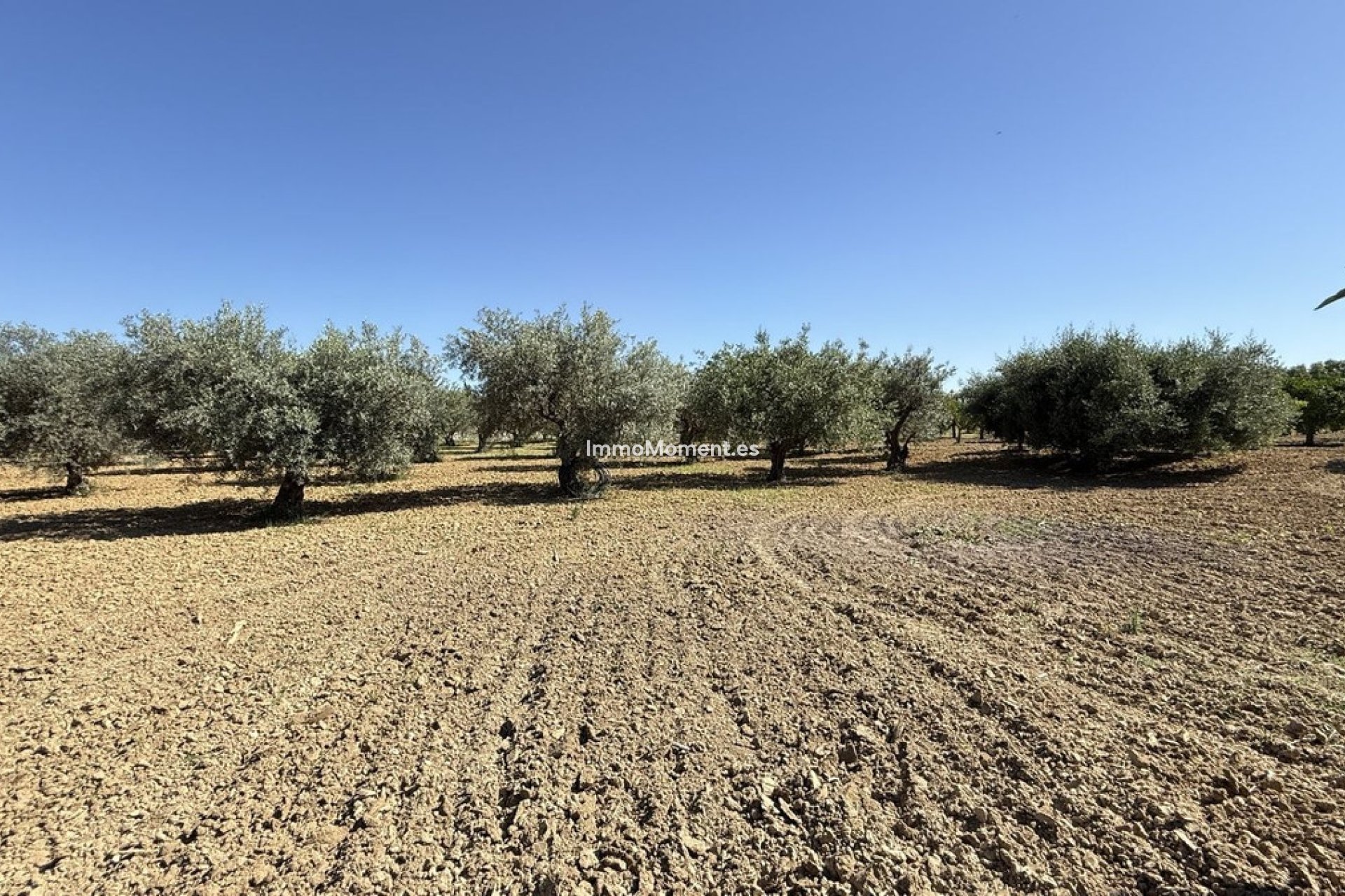 Revente - Maison de campagne - Intérieur                       - Alhaurín el Grande Centro